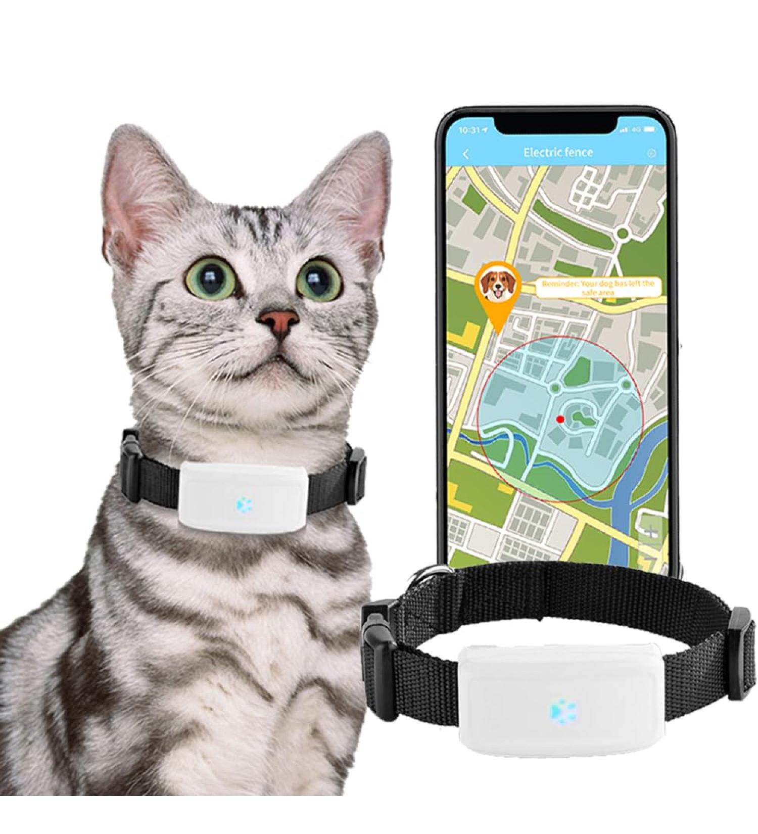 Buy Winnes Dog GPS Tracker TK911 - Waterproof Real-Time Tracking & Geofencing for Small Pets - No Subscription Required - Buy Online on GoSupps.com