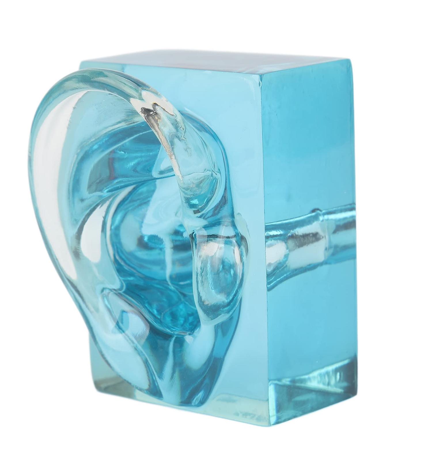 Professional Piercings Practice Ear Model - Waterproof Acrylic Blue Transparent Display for Sound Aids & Teaching Tools | International Shipping Available - Buy Online on GoSupps.com