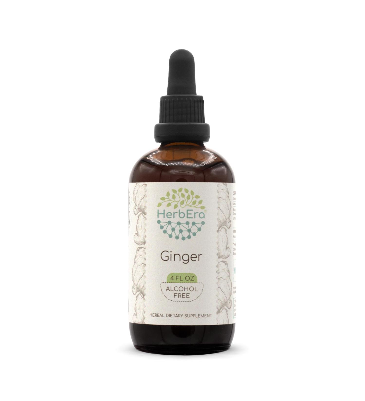 HerbEra Ginger B120 Alcohol-Free Herbal Extract Tincture, Super-Concentrated Ginger (Zingiber officinale) 4 fl oz 4 Fl Oz (Pack of 1) - Buy Online on GoSupps.com