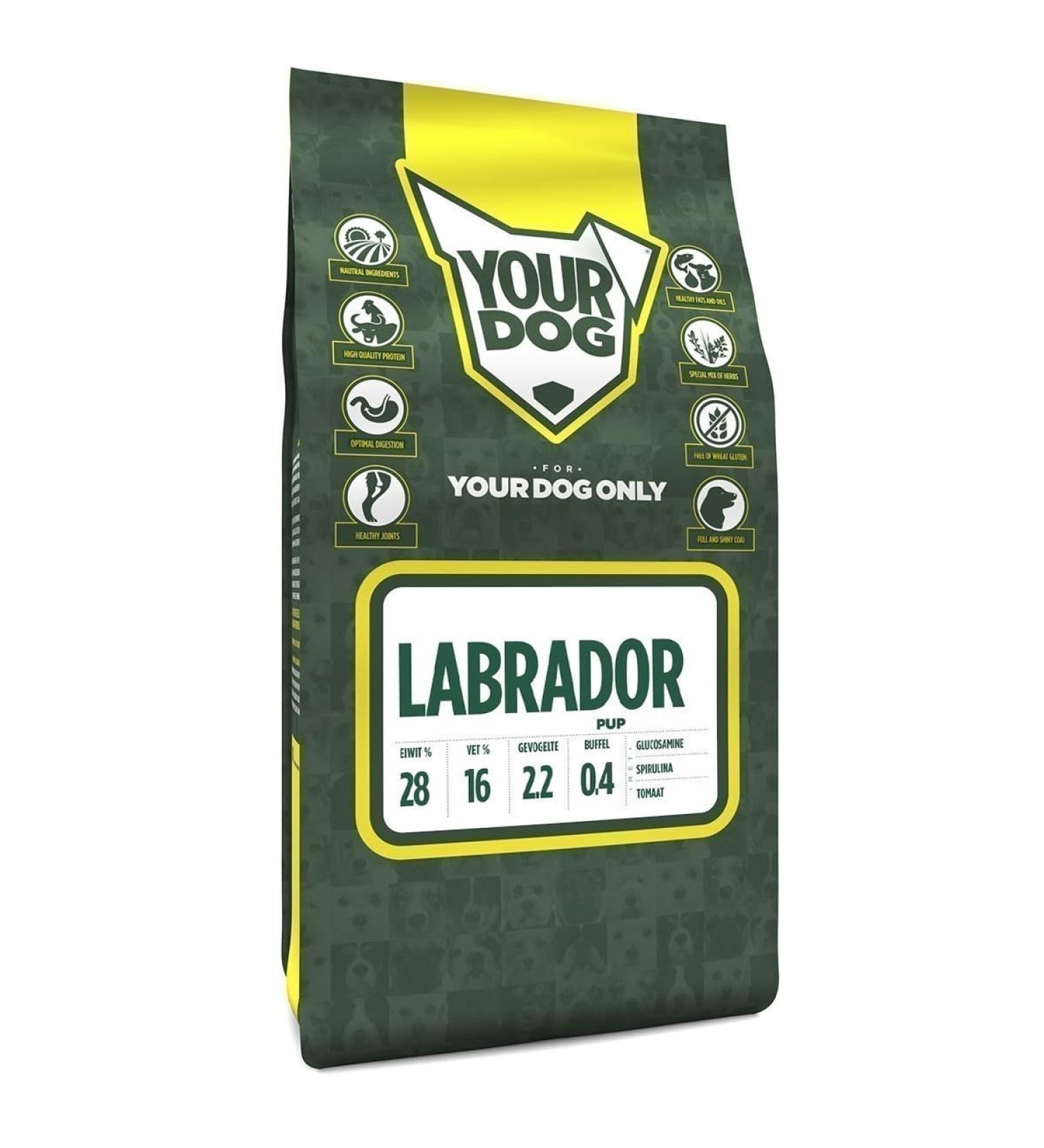 Yourdog Labrador Pup-6 KG