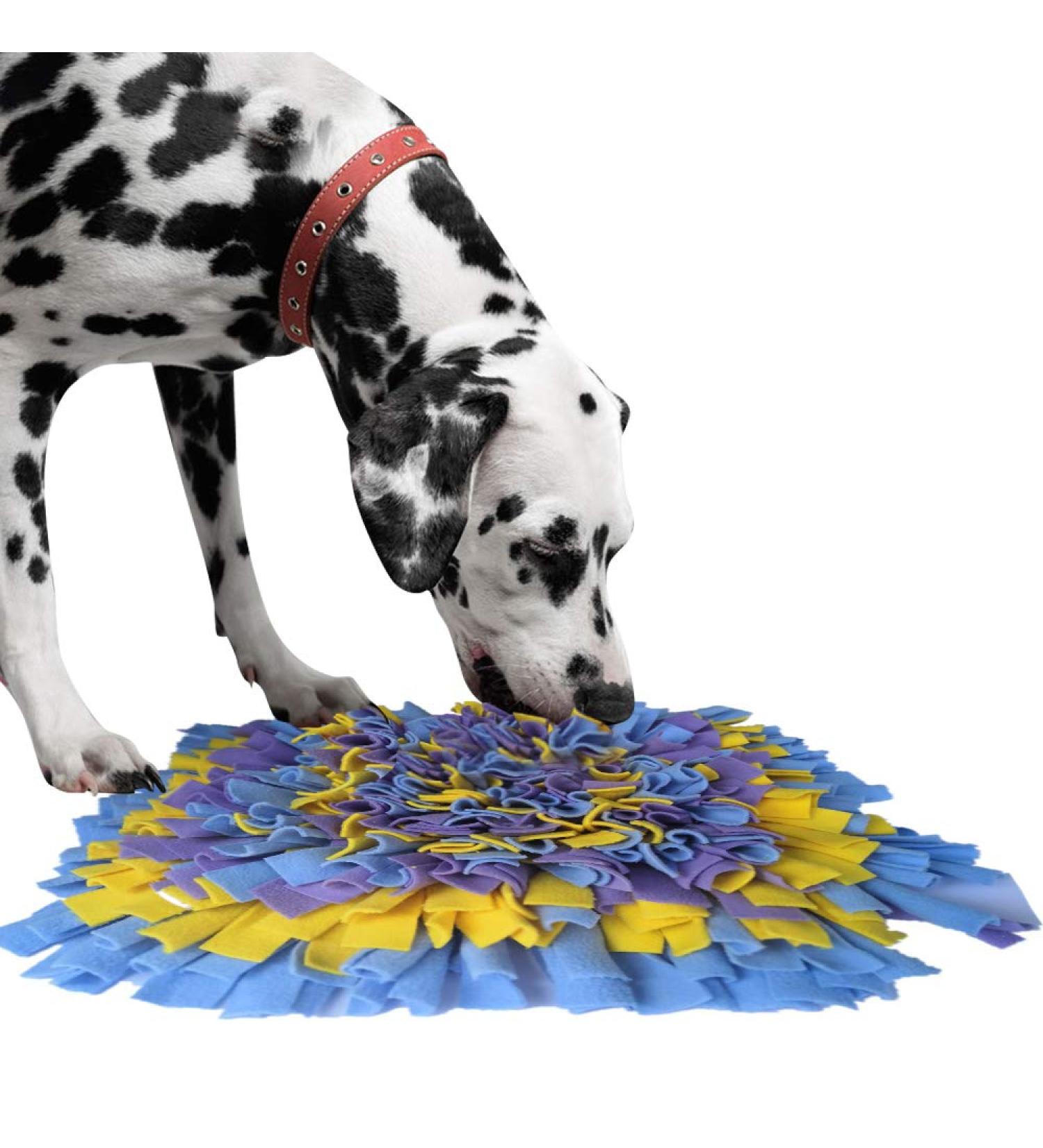Ieuumler Sniffing Carpet for Dogs & Cats - 45x45cm Training Mat in Blue Yellow & Purple | International Shipping - Buy Online on GoSupps.com