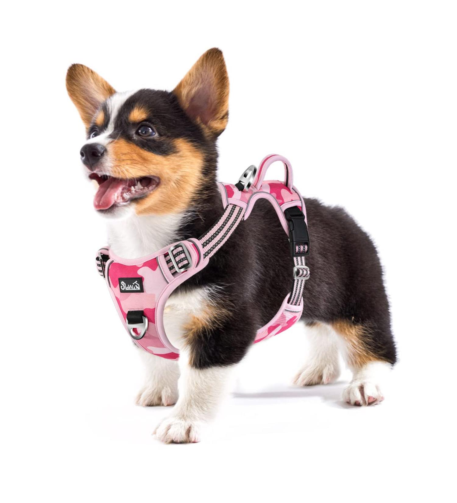 Eyin Adjustable Dog Harness for Small Dogs | Breathable Reflective Padded - Camouflage Pink (S) - Perfect for Daily Training - Buy Online on GoSupps.com