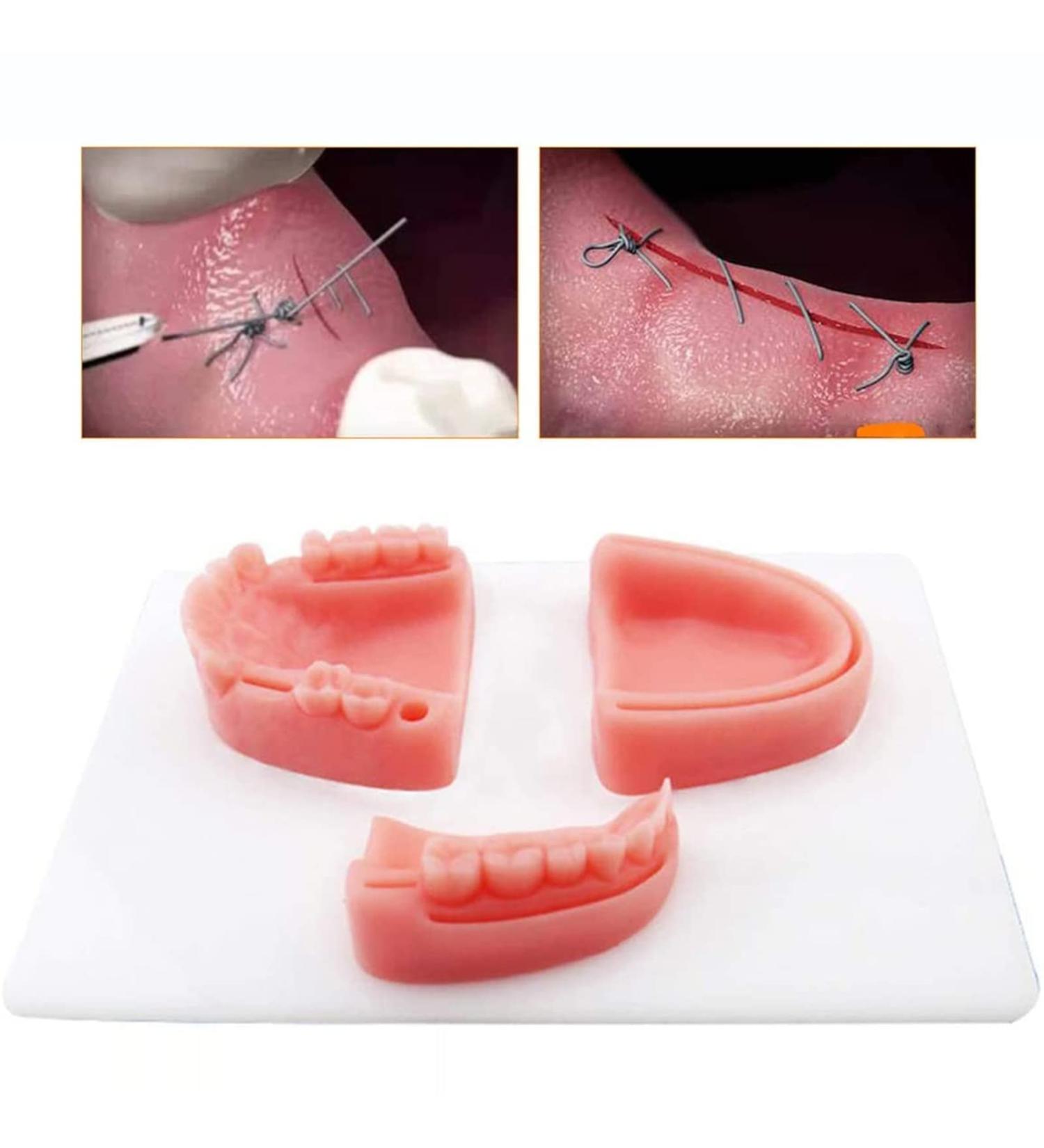 Buy Sumbitod Tooth Seam Practice Model - 3-in-1 Oral Seam Training Module | Soft Silicone for Gingival Wound Simulation - International Shipping Available - Buy Online on GoSupps.com