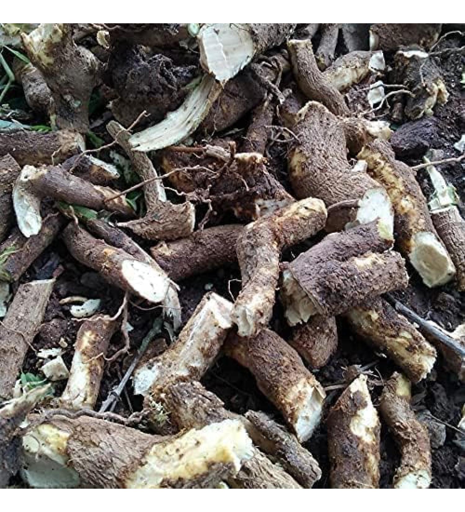 DK Pushkarmool Inula racemosa 250 gr. Other names are Pushkarmool Pushkarmool Orris Root Inula Racemosa Pokharmool Puskara mula Pohakarmul Puskar