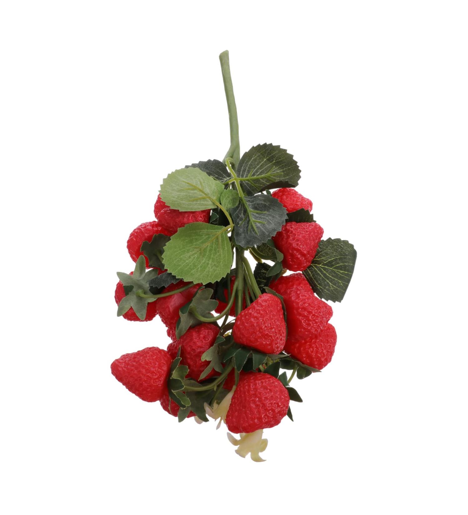 Zerodeko Simulation Blueberry Faux Strawberries Household Decor Fake Fruit Photo Props Decor for Home Faux Strawberry Christmas Decor Strawberry Lantern Foam Red Artificial Model Red 29.00X12.00X5.00CM - Buy Online on GoSupps.com