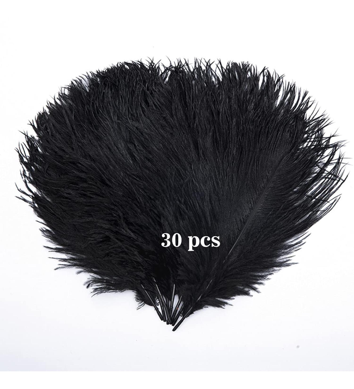 Hollosport 30PCS Black Ostrich Feathers 10-12 Inches for Centerpieces, Weddings, and Crafts - Buy Online on GoSupps.com