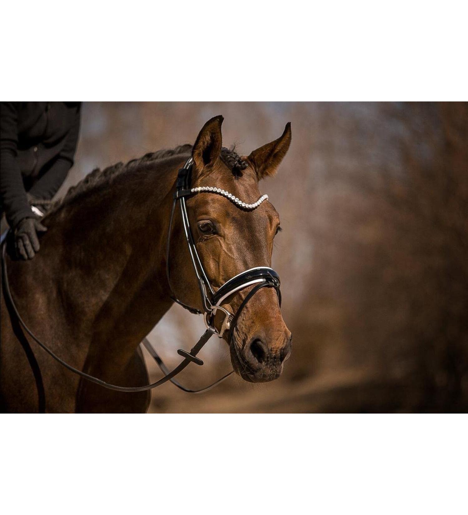 Buy Horsecode Bridle Moonlight Diamond W for Warmbloods - Premium Quality & International Shipping - Buy Online on GoSupps.com