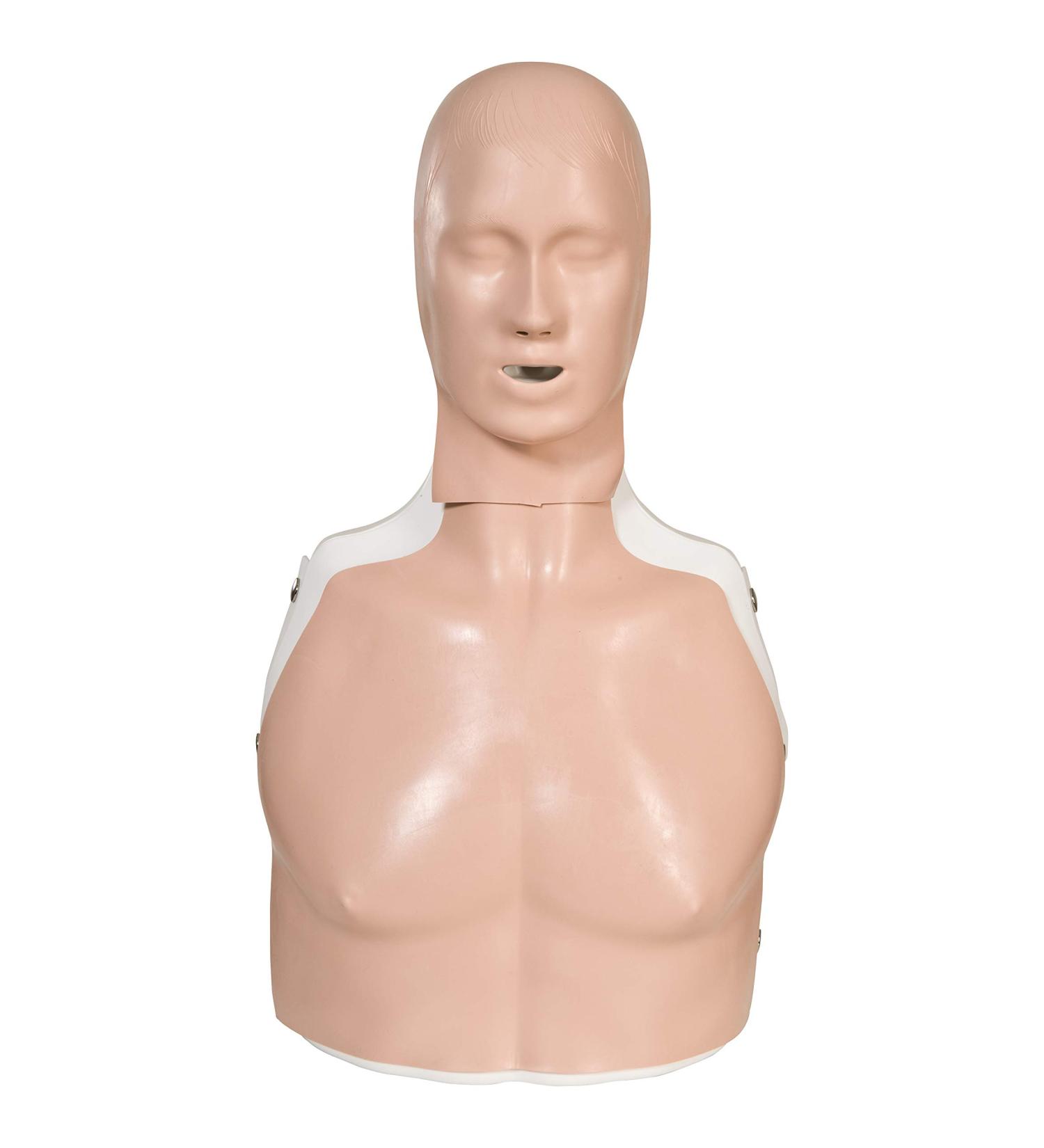 3B Scientific Basic Life Support Simulator Basic Billy light-skinned