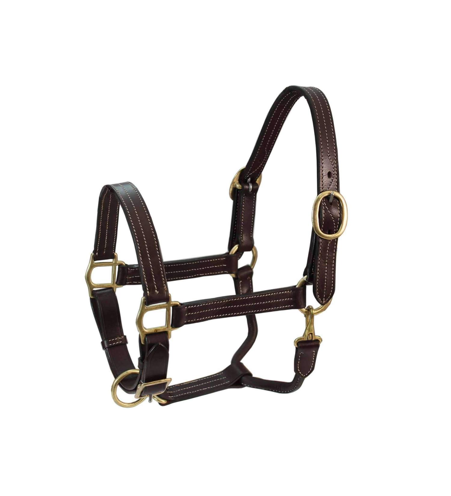 Derby Originals Coventry Triple Stitch Leather Halter - Full/Average Sizes - Buy Online on GoSupps.com