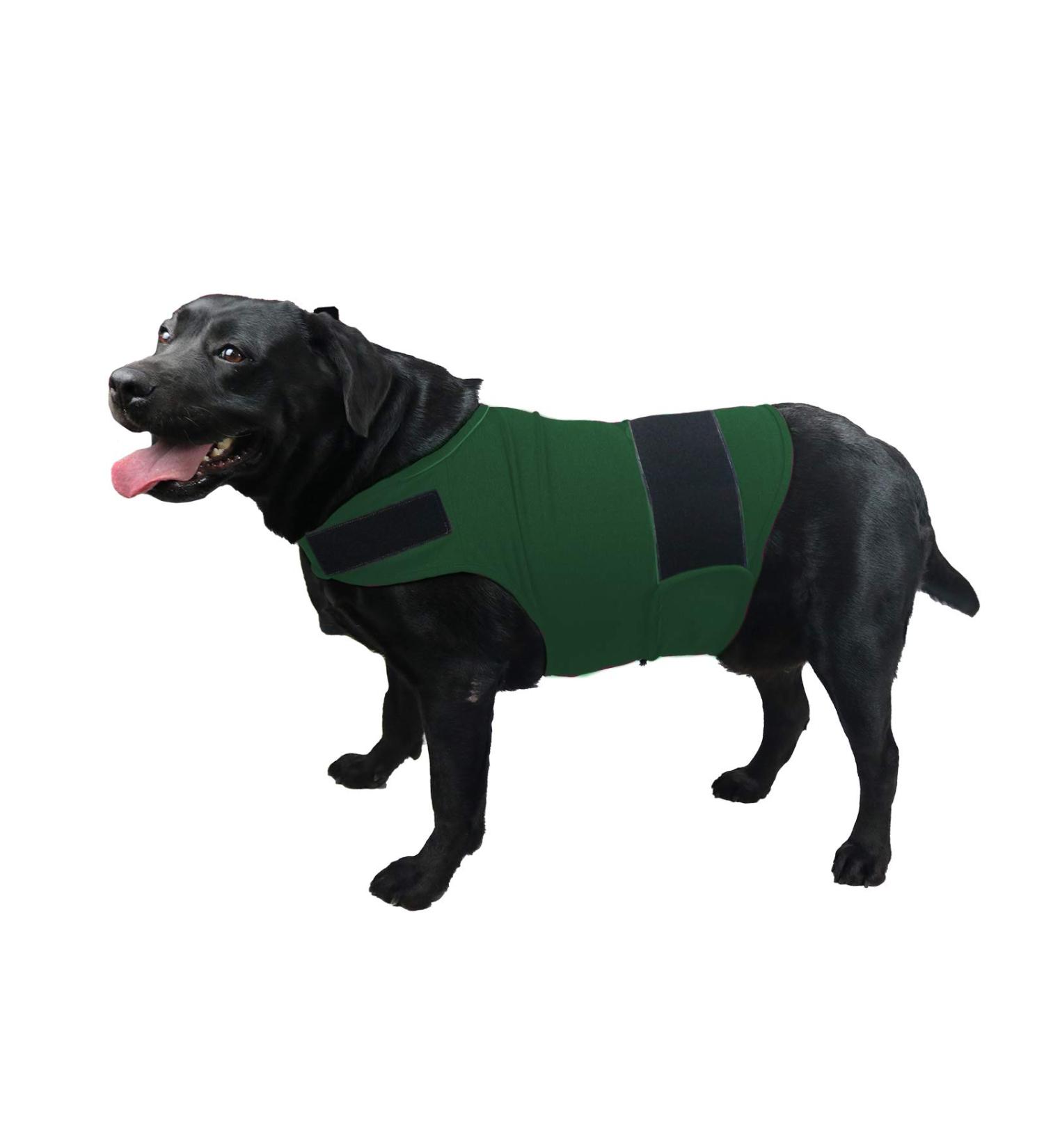 Shop Kittystar XL Breathable Dog Shirt - Calming Coat for Thunderstorms Fear Vest & Jacket in Green | Puppy Anxiety Relief - Buy Online on GoSupps.com