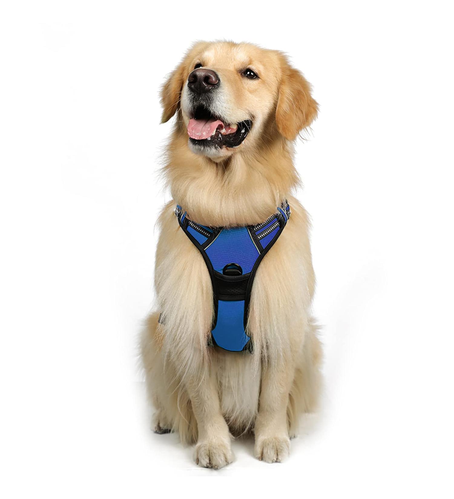 Rabbitgoo Dog Harness for Medium Dogs | No Pull Adjustable & Breathable | Safe Control Harness with Reflective Stripes | Blue (1 Pack) - Buy Online on GoSupps.com