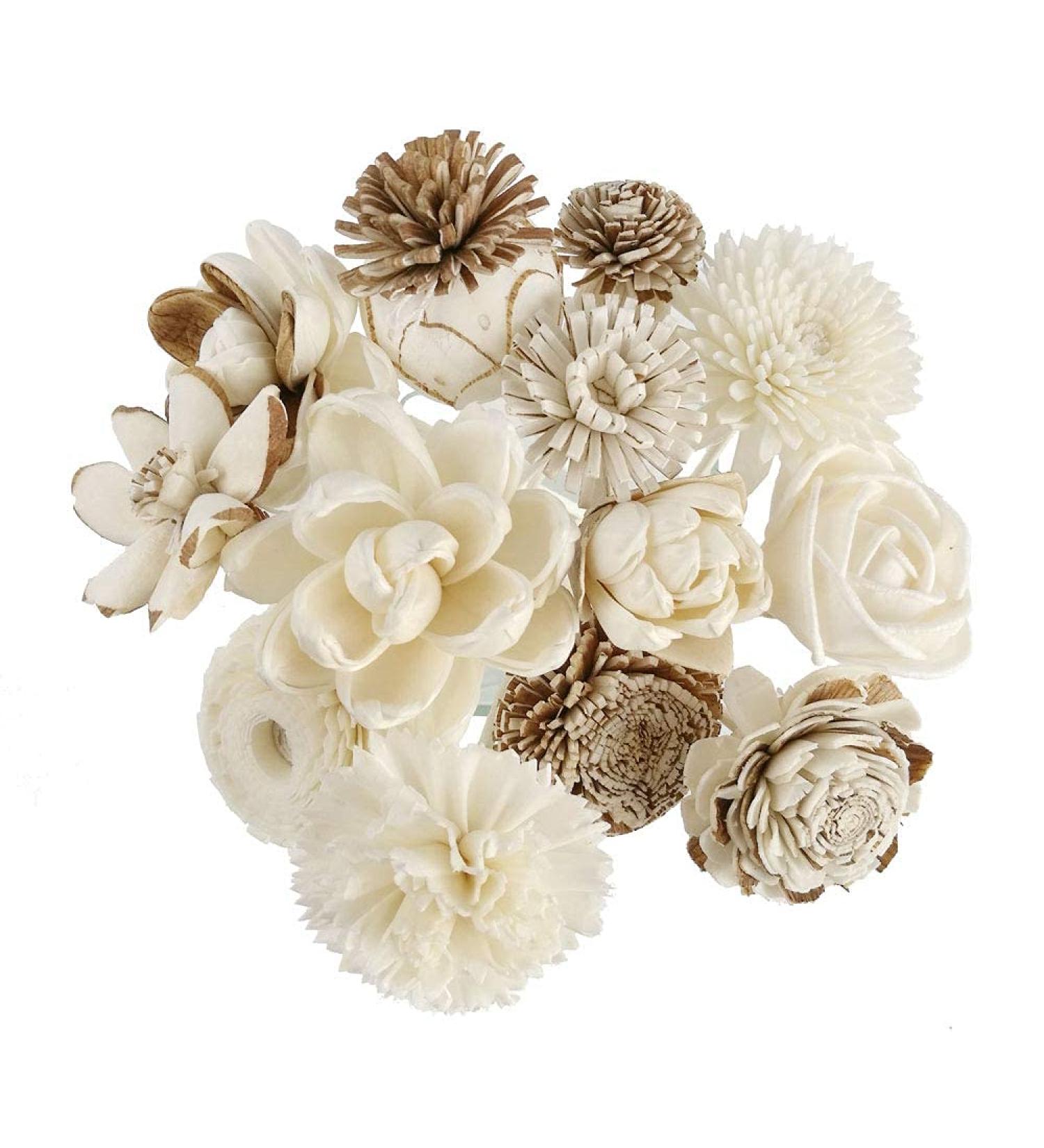 Exotic Plawanature Set of 12 Mixed Wood Flower & Rattan Sticks - Fragrance Diffuser for Aroma Oils | International Shipping - Buy Online on GoSupps.com