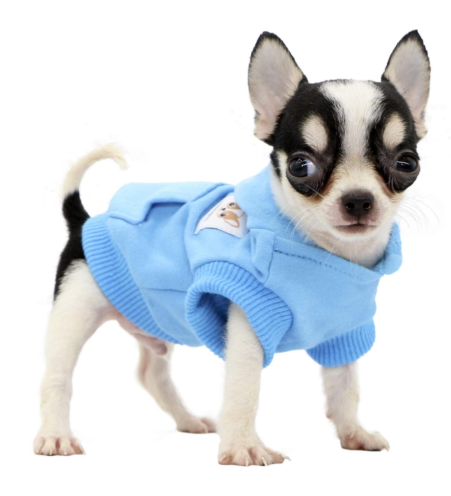 LOPHIPETS Dog Cotton Hoodie for Small Chihuahua Puppy - Cambridge Blue, XXS (0.5-1.2 lbs) - Cold Weather Coat - Buy Online on GoSupps.com