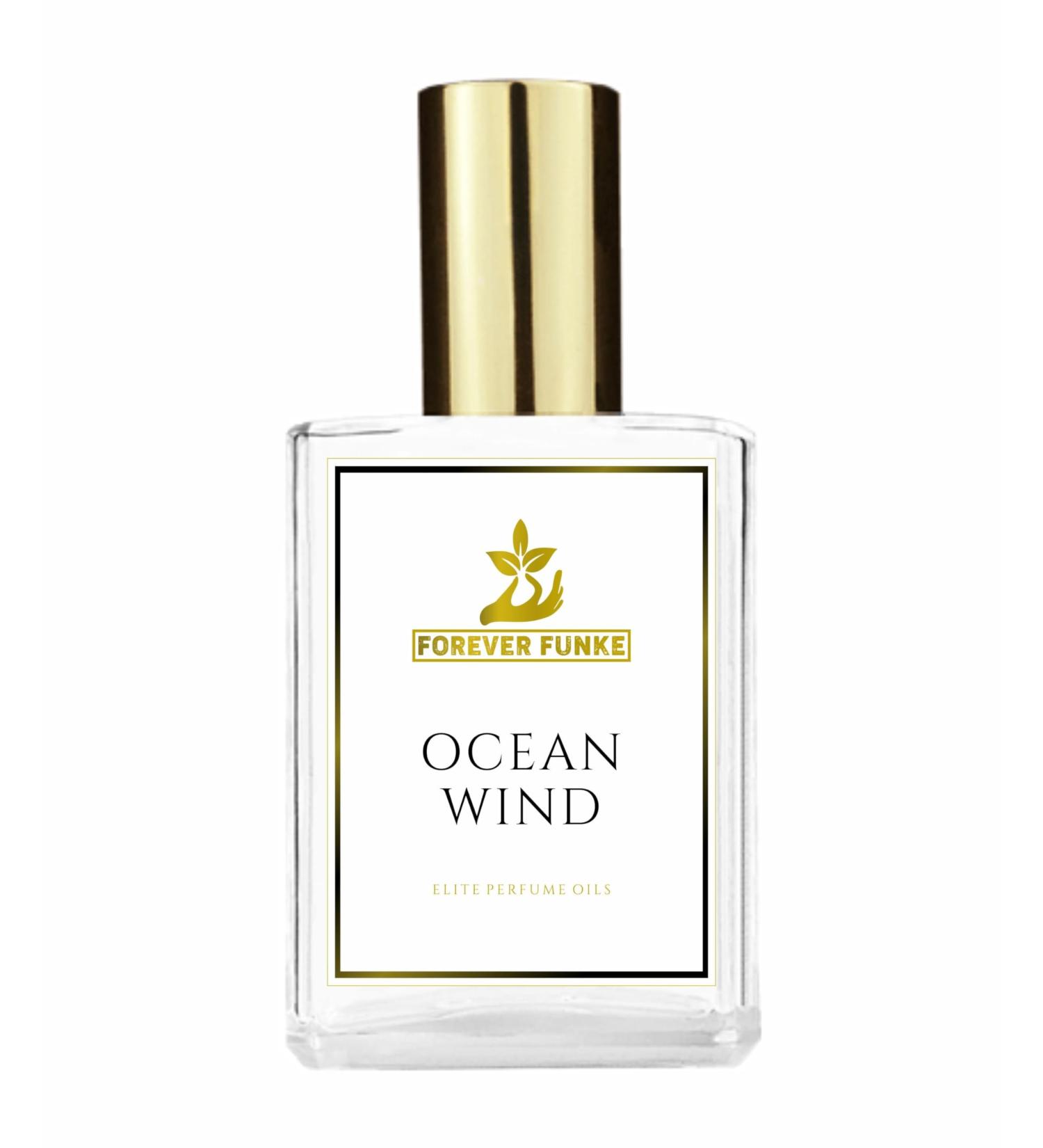 Forever Funke Perfume Impressions Replica Version Fragrance Dupes Concentrated Long Lasting Refillable Bottle (100ml/3.4 Fl Oz CHL NO 5 IMPRESSION) 3.4 Fl Oz (Pack of 1) CHL NO 5 IMPRESSION