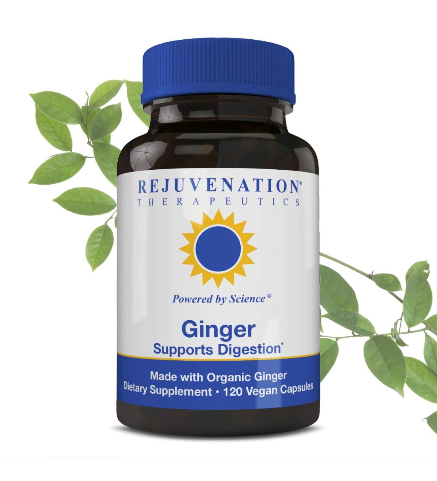 Rejuvenation Therapeutics Organic Ginger - Digestive Function Support (120 Vegan Capsules 500 mg) - Buy Online on GoSupps.com