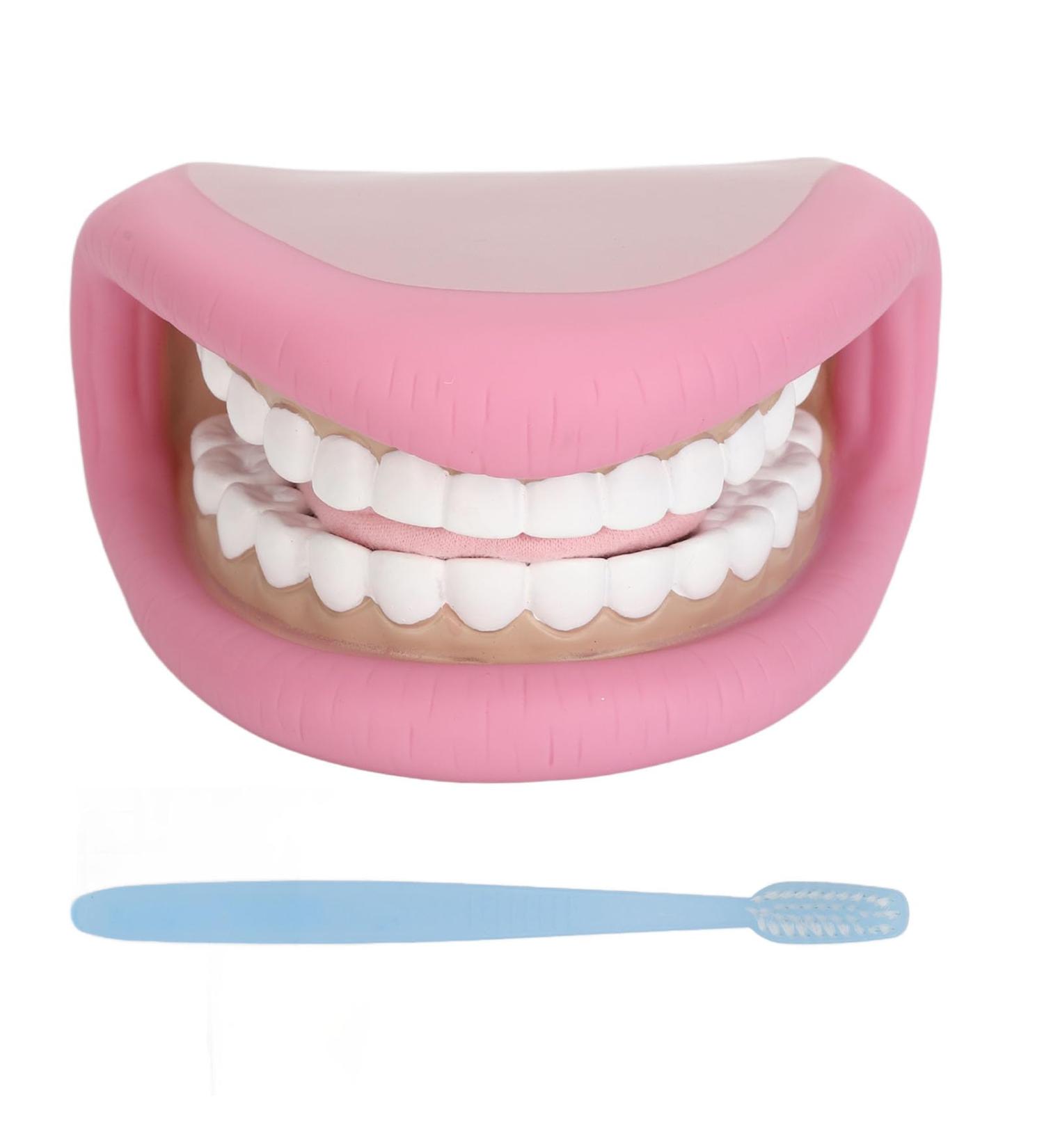 28 Teeth Mouth Hand Puppet for Speech Improvement & Tooth Brushing Lessons - Fun Educational Toy - Buy Online on GoSupps.com