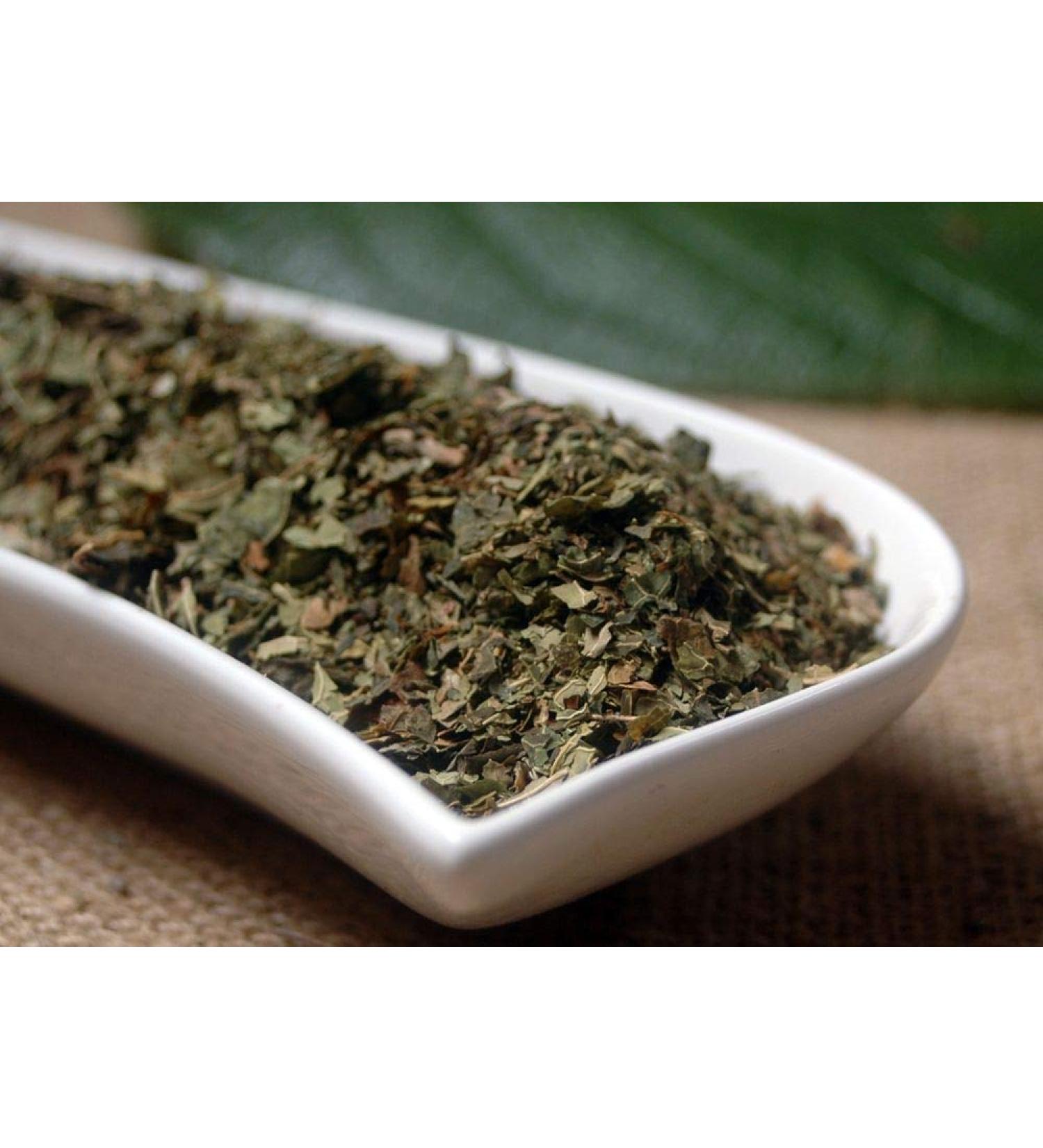 Krauterino24 - Papaya leaves cut quantity: 500g