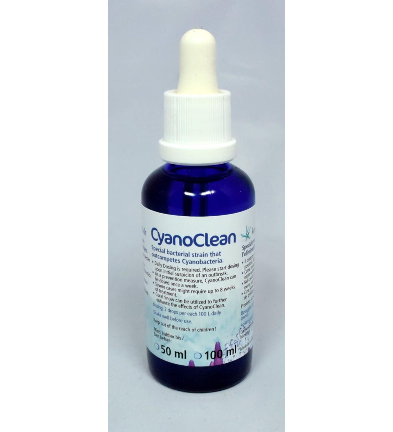 Corail zucht. de cyanoclean, 1er Pack (1 x 10 ML)