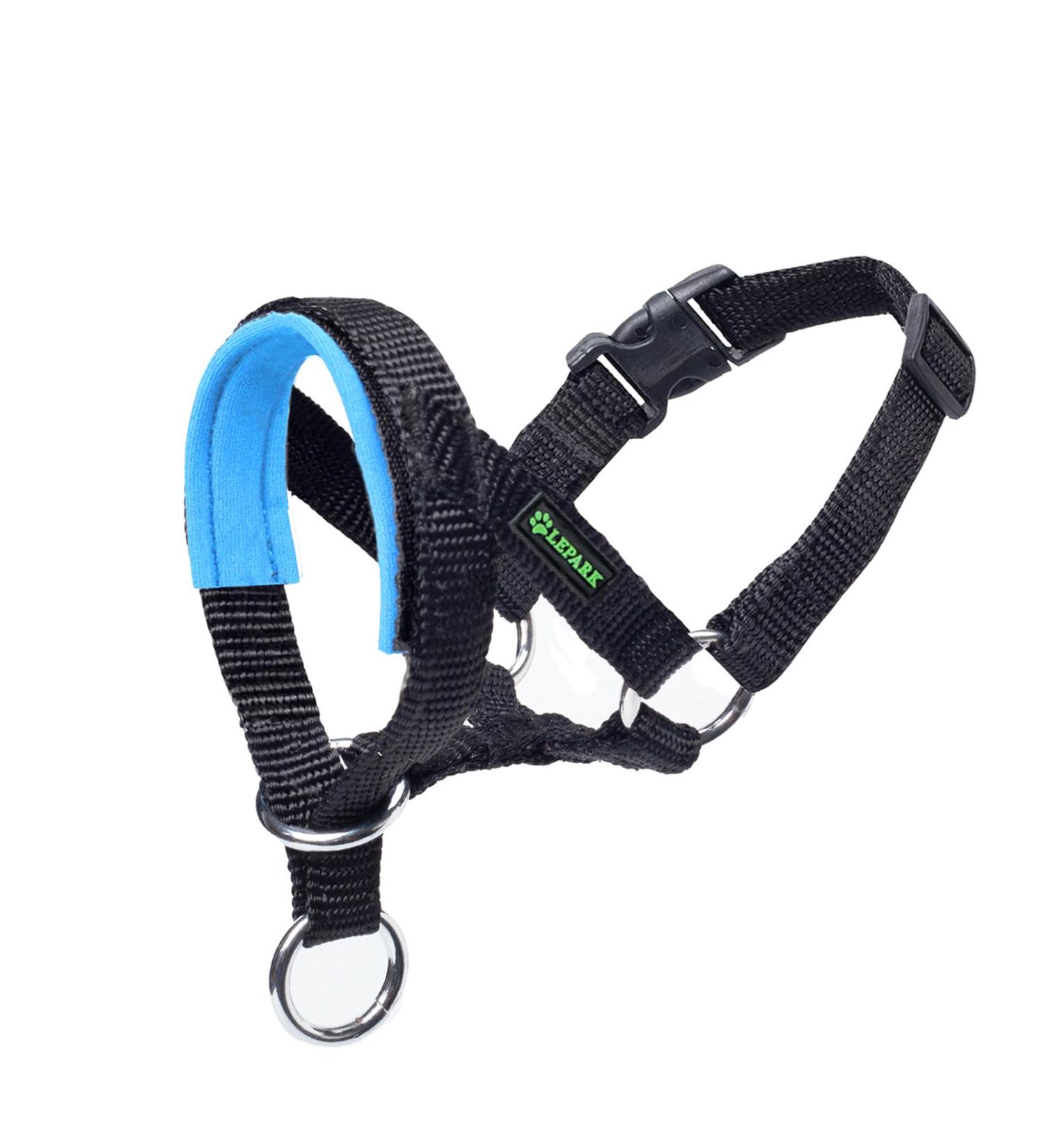 Padded Dog Head Collar for Anti-Pulling Control | Adjustable Head Harness in L Lake Blue - Buy Online on GoSupps.com