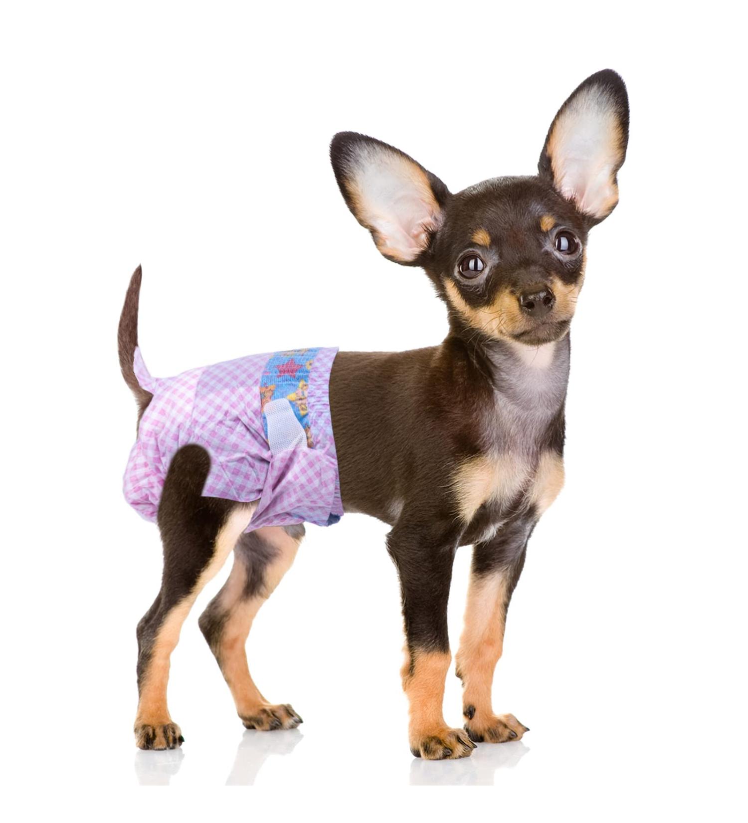Flying Paws Disposable Dog Diapers - Adjustable XS Diapers for Dogs & Cats | 10-40 Pack Perfect for Puppies & Senior Pets - Buy Online on GoSupps.com