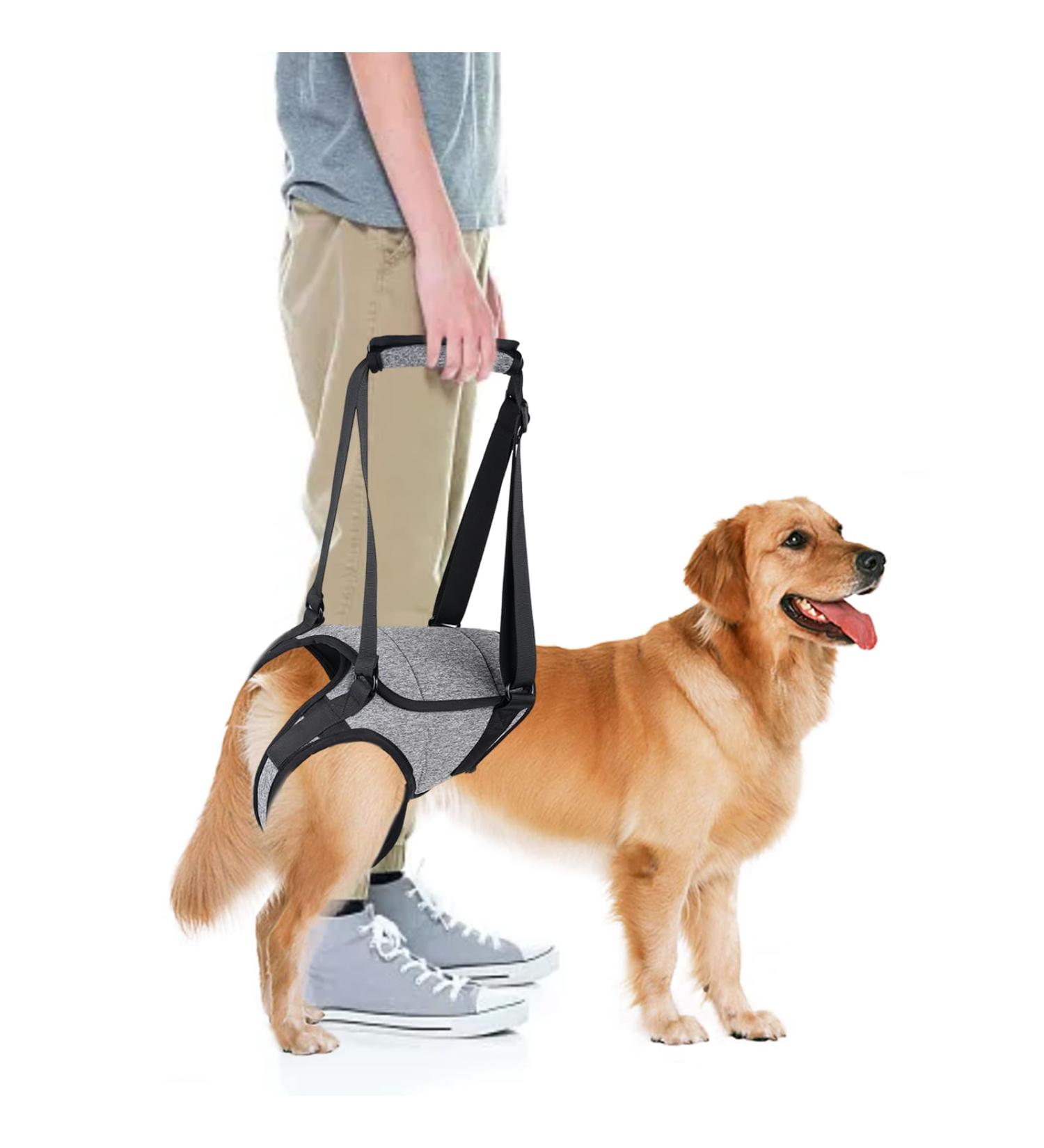 Hamon Portable Dog Harness for Hind Legs | Dog Lifting Aid for Older & Sick Dogs (Large) - Buy Online on GoSupps.com