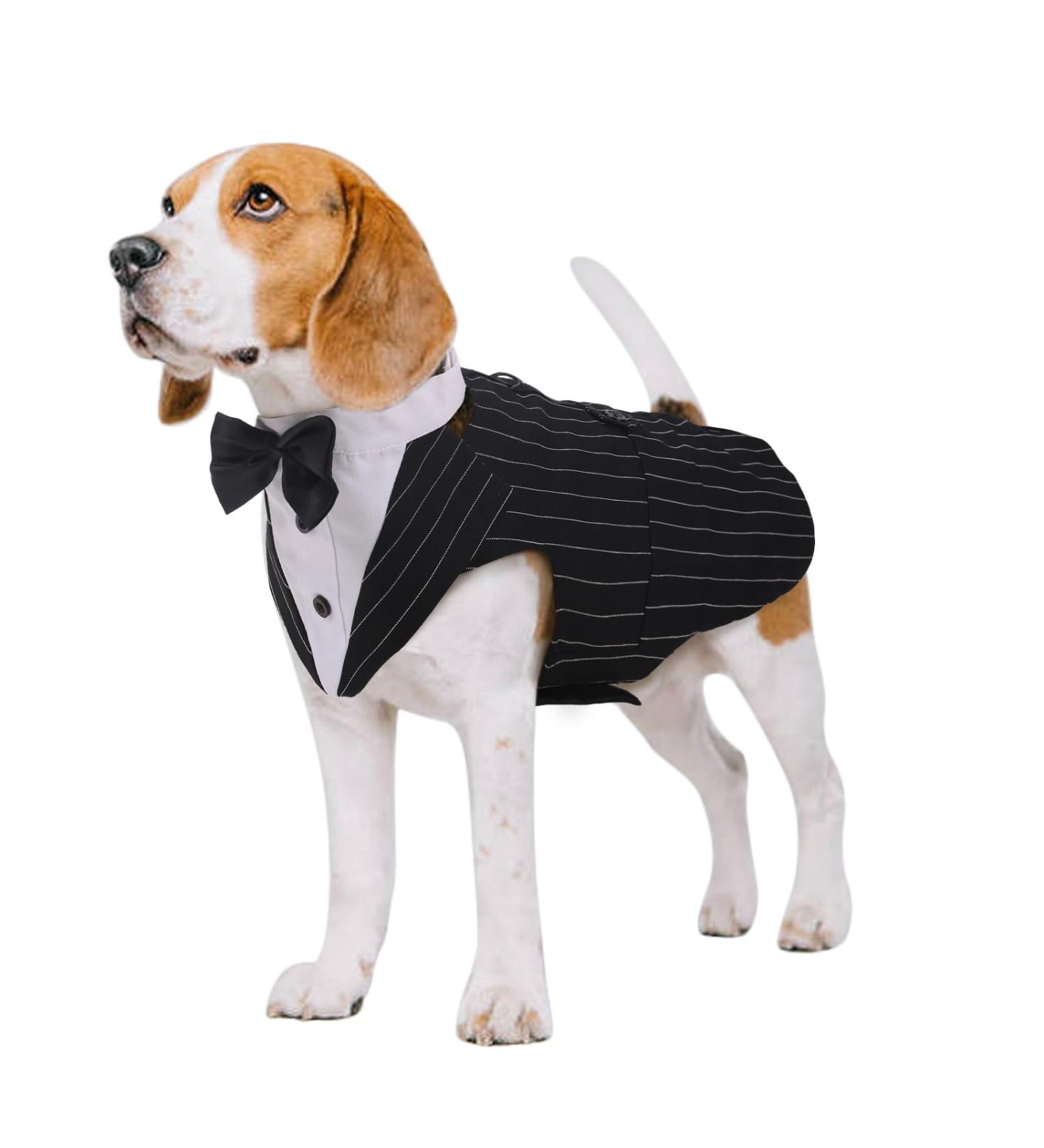 Kuoser Dog Smoking Suit & Bandana Set - Pet Formal Clothing for Weddings Halloween & Birthday Parties (S-XXL 35cm) - Buy Online on GoSupps.com
