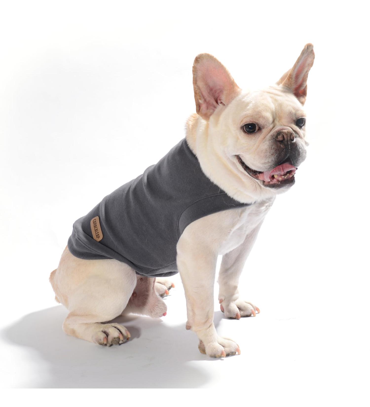 Caracaleap Dog Sweater - Soft & Warm Winter Coat for Medium-Sized Dogs | XL Dark Gray | Perfect for Cats Too! - Buy Online on GoSupps.com