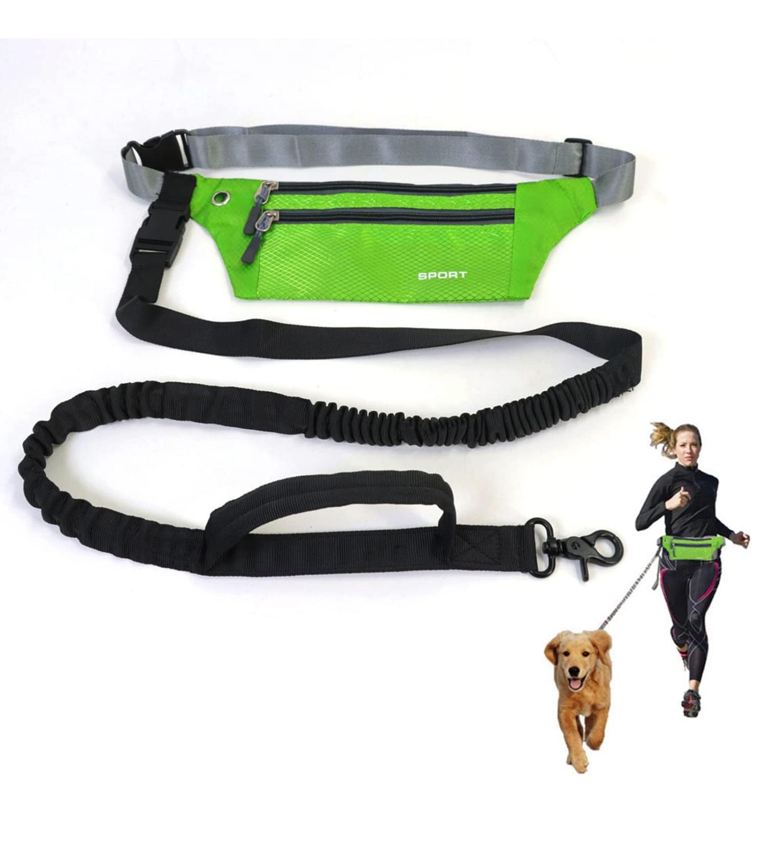 Premium Stretchy Dog Leash for Jogging & Hiking - Ideal for Small to Medium Dogs (118-200 cm) - Buy Online on GoSupps.com