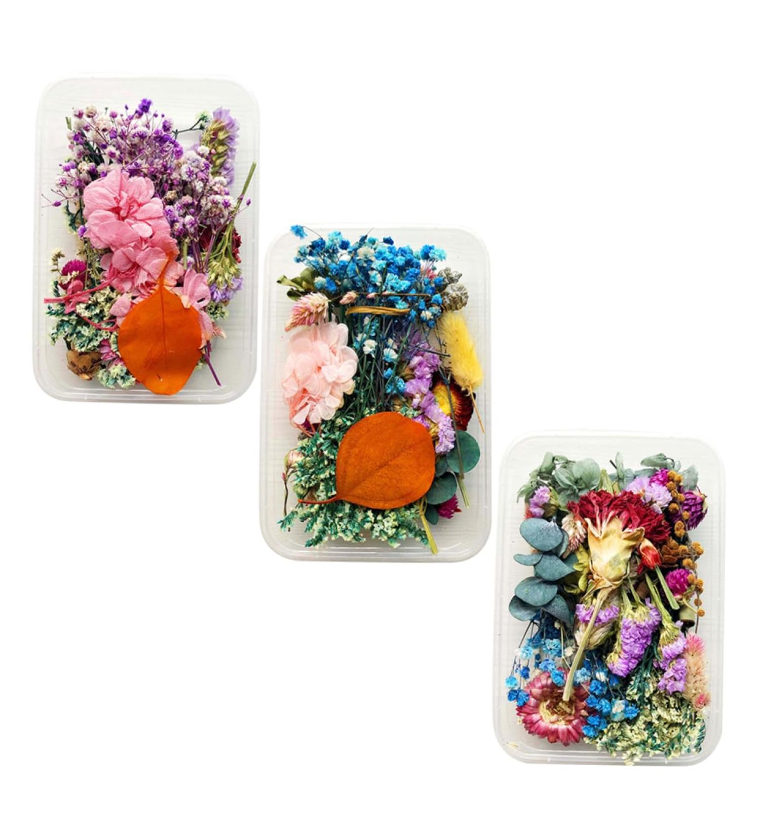 Zerodeko 9 Boxes Handmade Diy Dried Flowers Real Daisy Dried Flower Leaves Dried Flowers Nail Art Dried Flower Decor Maternity Clothes Dried Flowers for Soap Making Bjd Doll Manual Bouquet - Buy Online on GoSupps.com