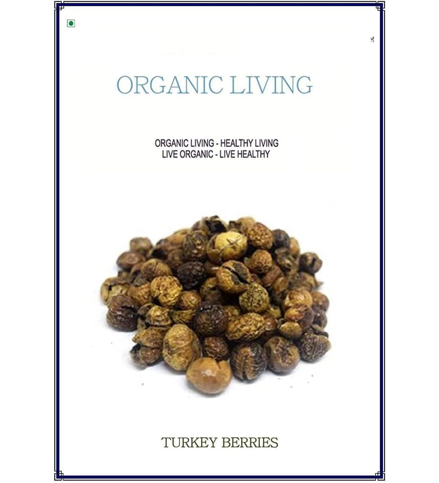 Hyd D.ried Turkey Berries Sundanese Vathal 500 g