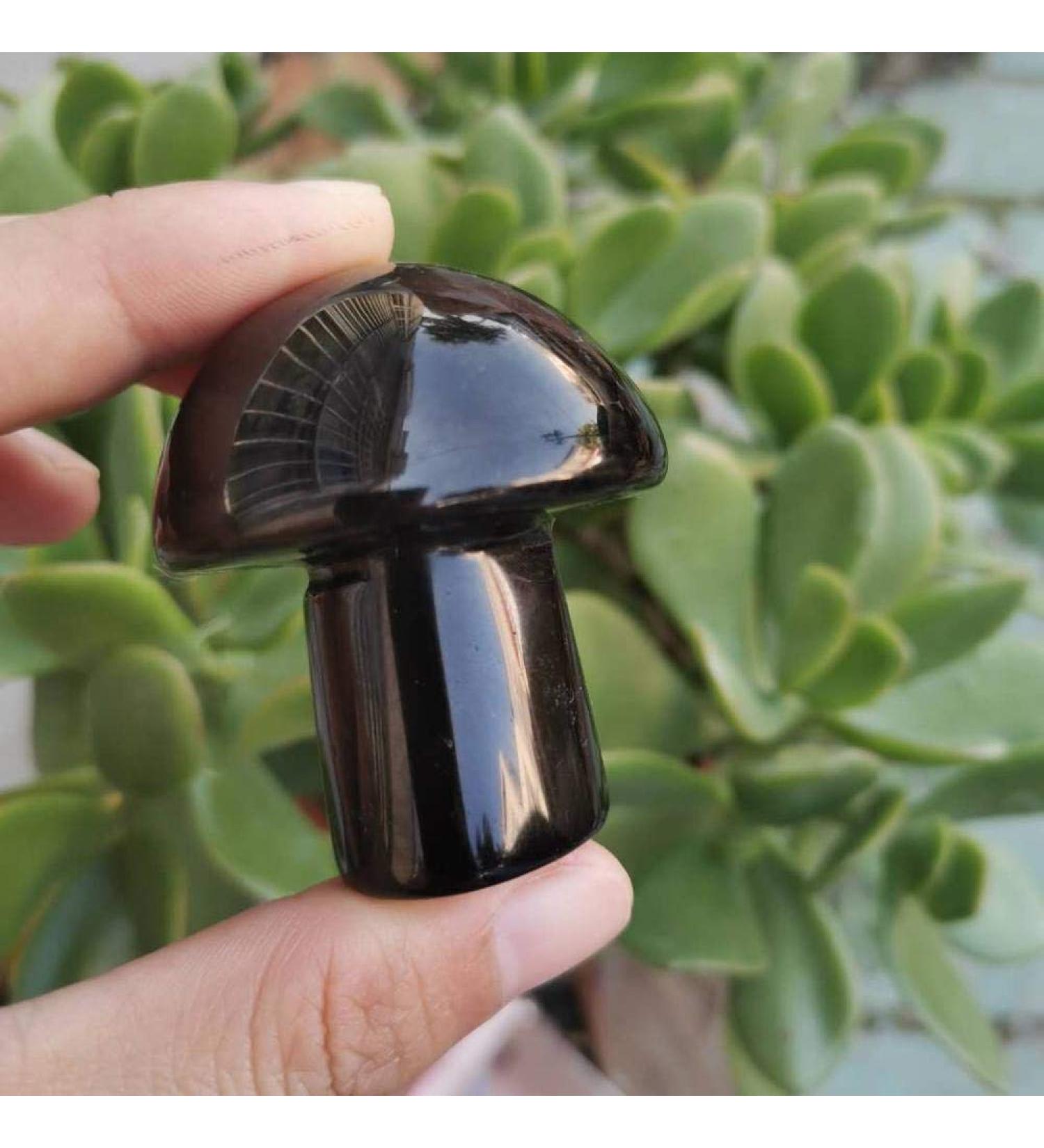 Natural Black Obsidian Mushroom Hand Carved Stone Mushroom for Home Decoration (Color : 1pc) - Buy Online on GoSupps.com
