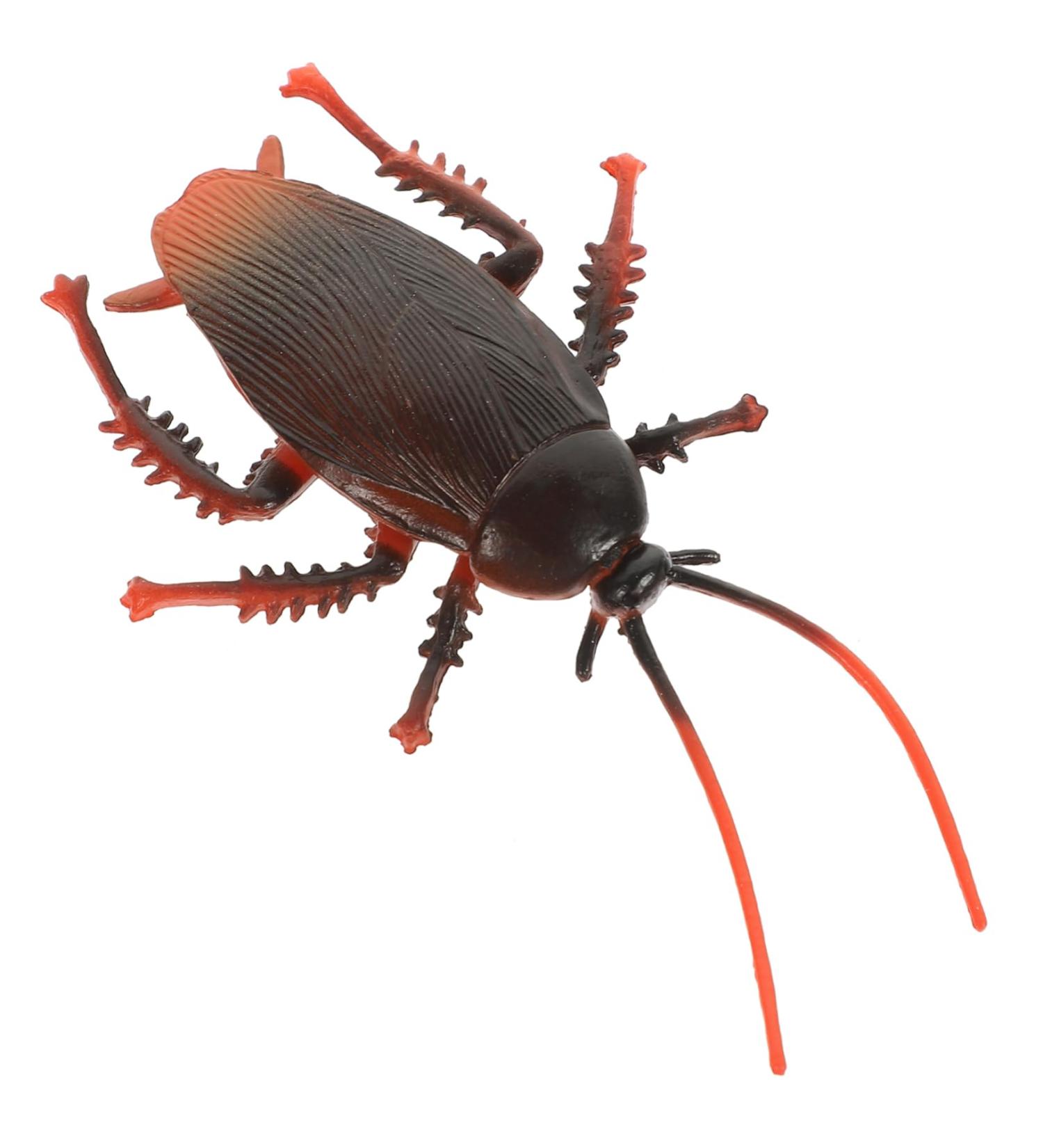 BESTonZON cockroach bug insect Realistic Roaches Toys Toy game props artificial Fake Cockroach halloween prank toys halloween fake Model child Vivid Cockroach solid props Gift tool - Buy Online on GoSupps.com