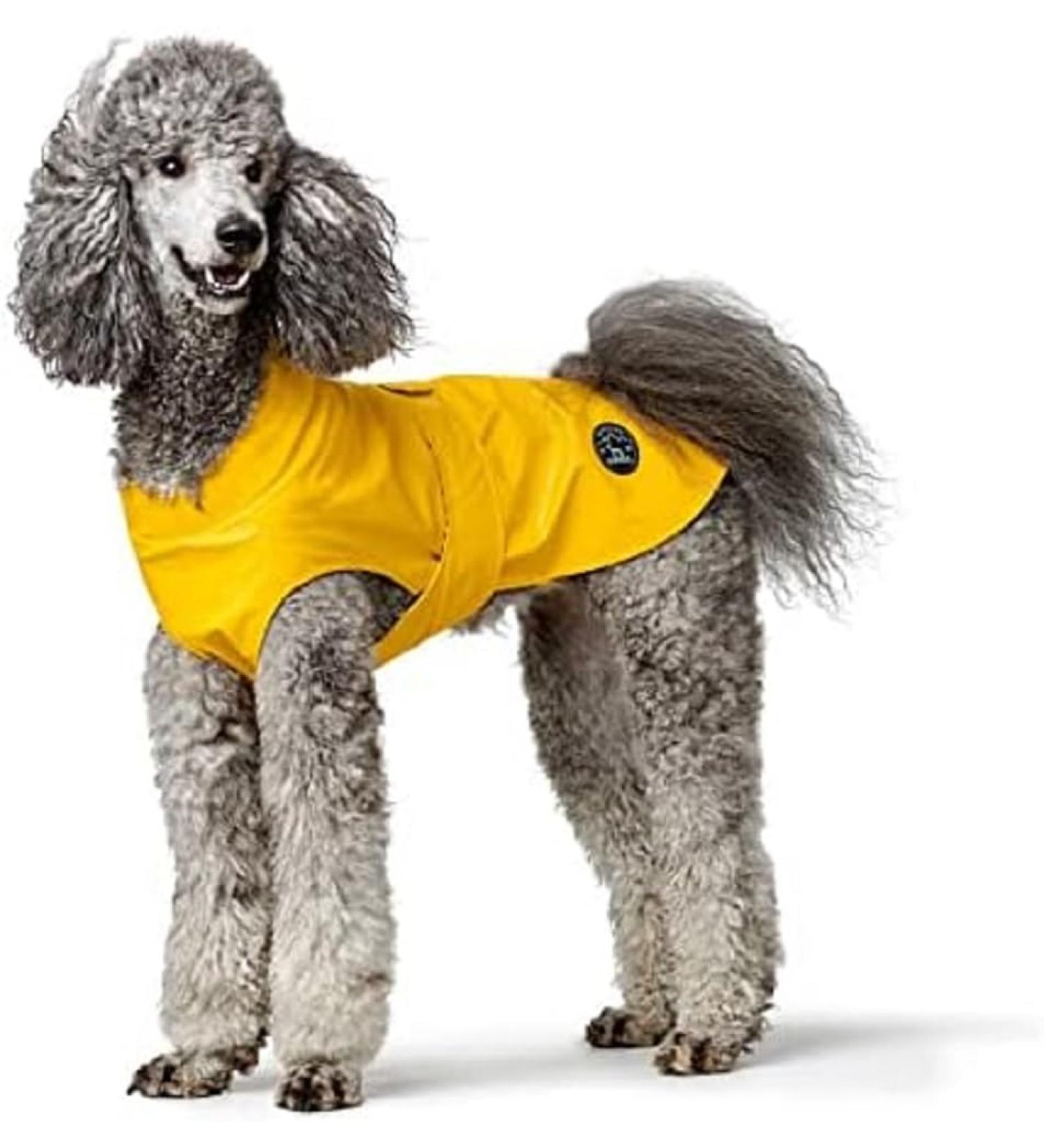 Shop Hunter Dog Raincoat in Milford Yellow - Size 50 | Best International Shipping - Buy Online on GoSupps.com