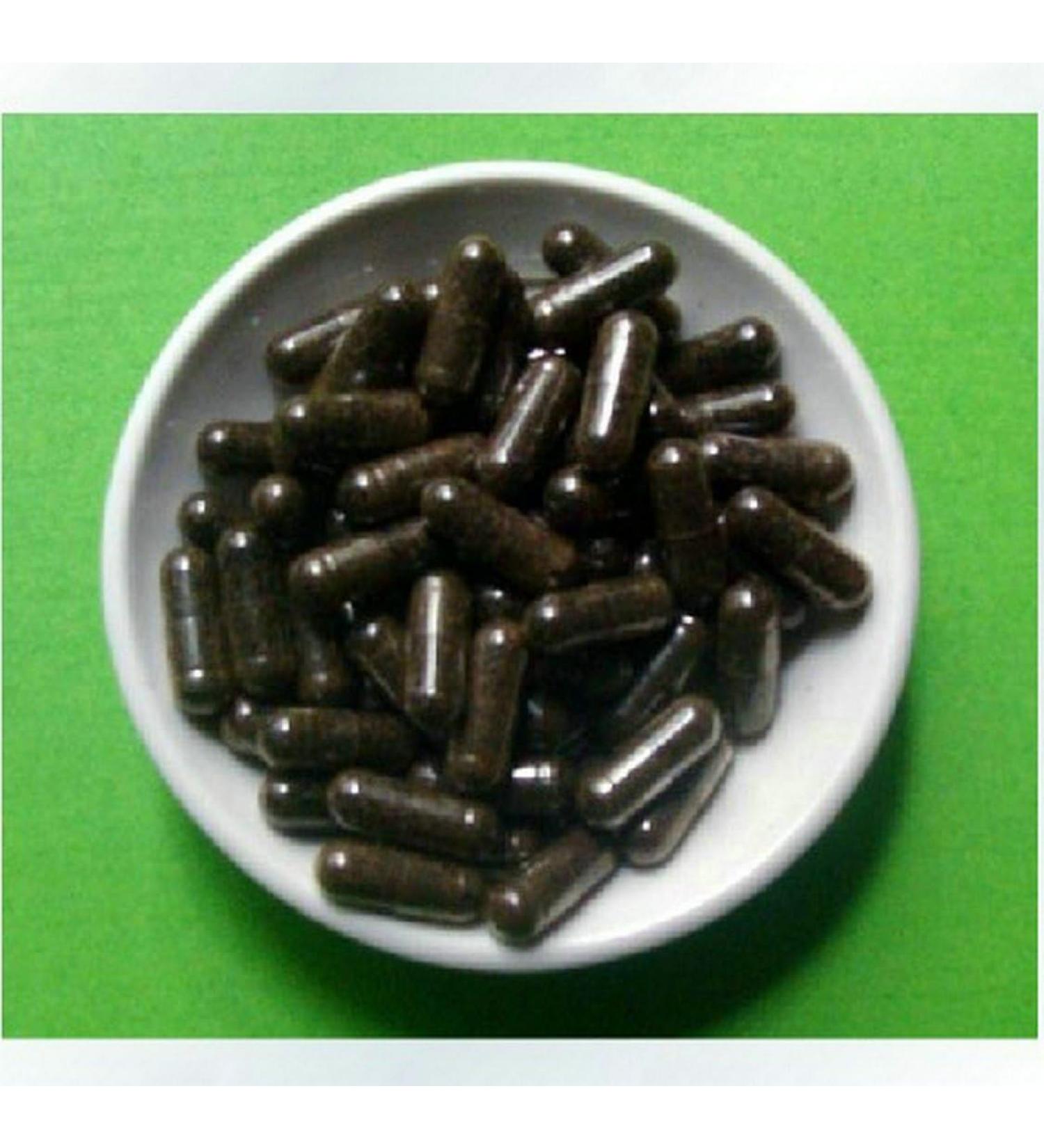 Akersunder UNADULTERATED Wild Mountain POLYRACHIS ANT/polyrhachis vicina Double Extract 100 Capsules