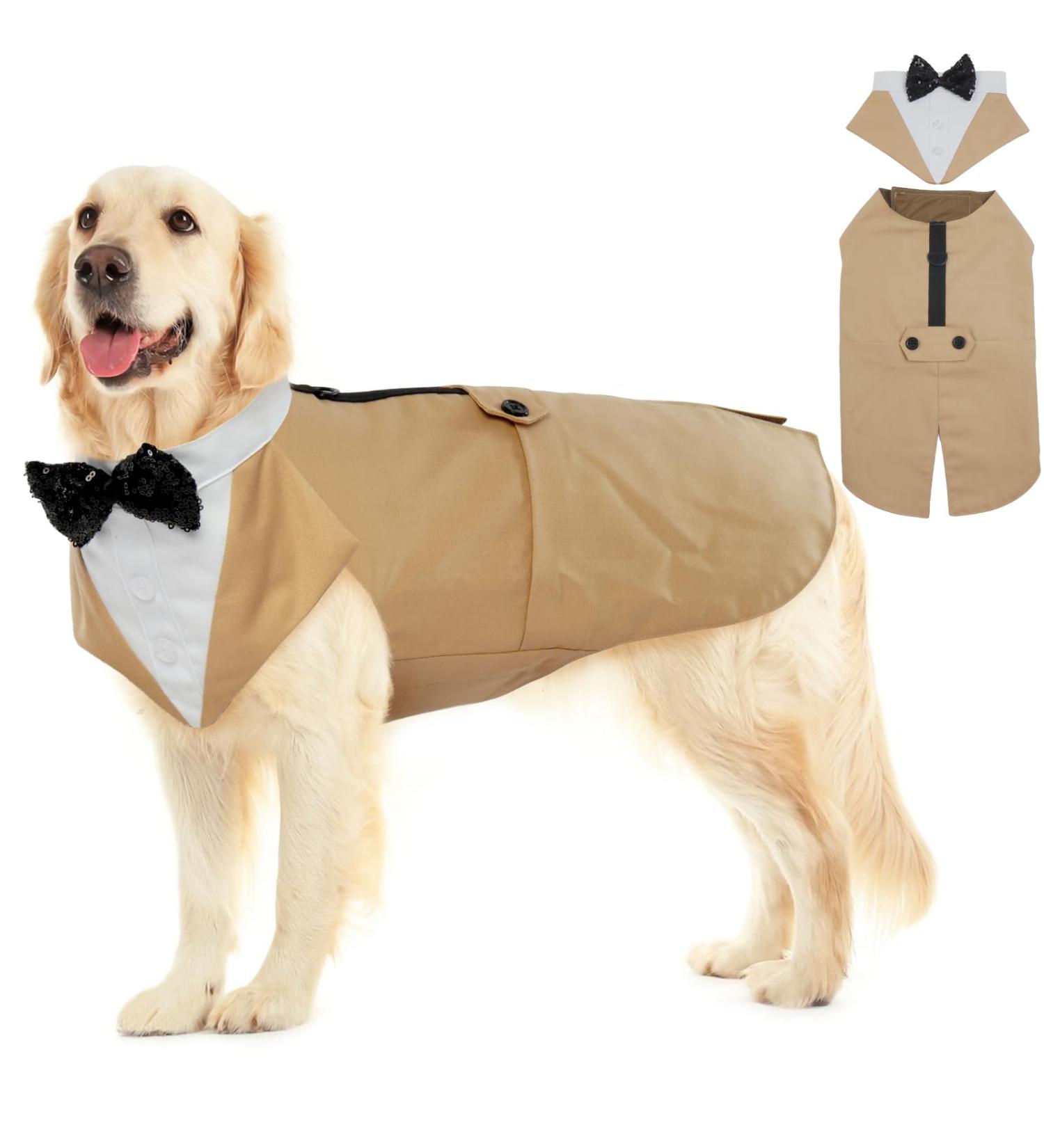 Stylish Dog Wedding Suit - Champagne Tuxedo for Chihuahua - XXL - Buy Online on GoSupps.com