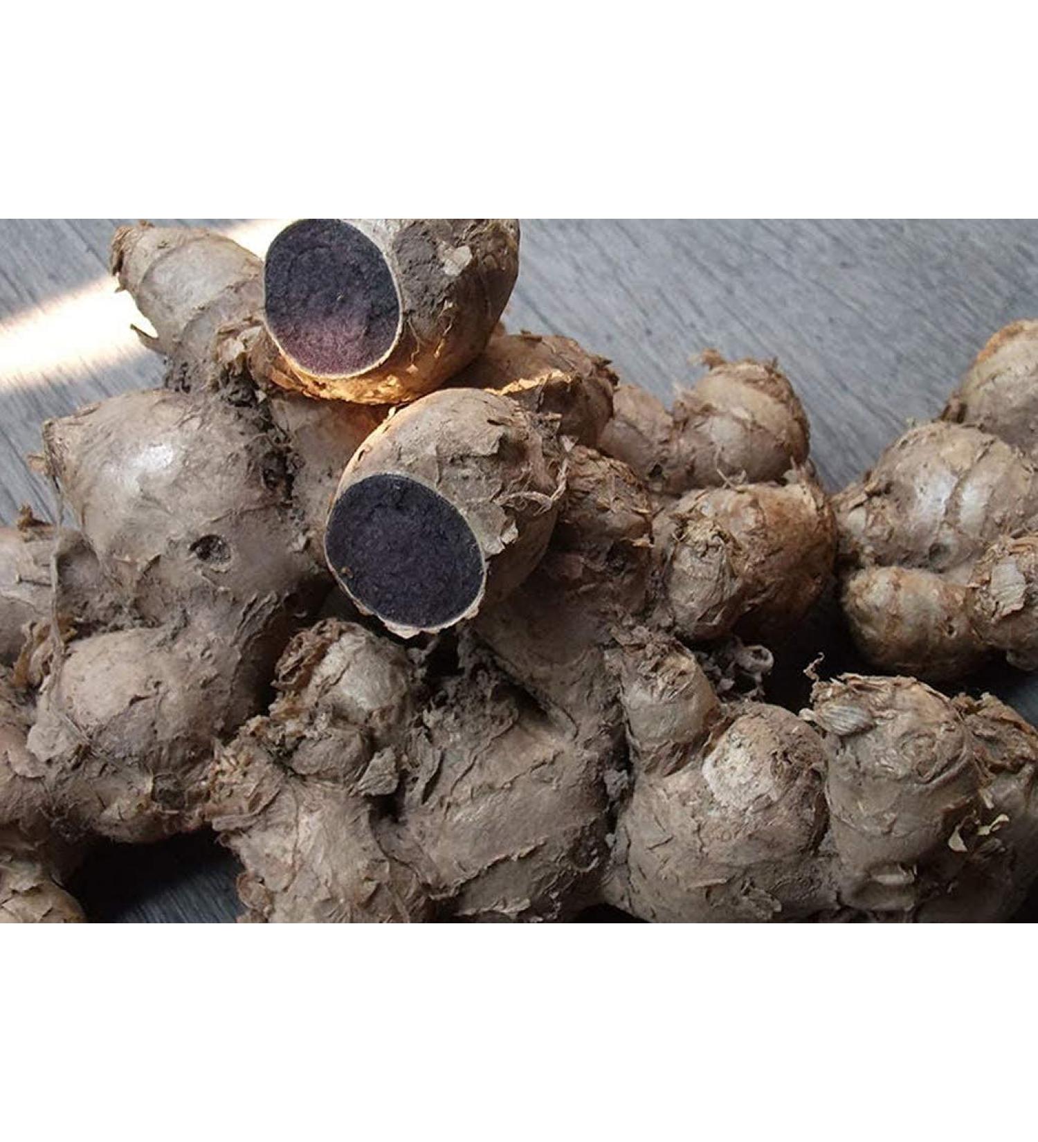 deal Dry Kali Haldi Black Turmeric Sprouting Seed for Pooja 7Pcs 50g Zarambad E zhu Curcuma zerumbet Roxb Shati Puthupalashika Narkachoor Turmaric Curcumin Narkachur Kali Haldi Nar Kachur Nar Kachoor Black Turmeric Haridra kali haldi narkachur kachur- kac - Buy Online on GoSupps.com