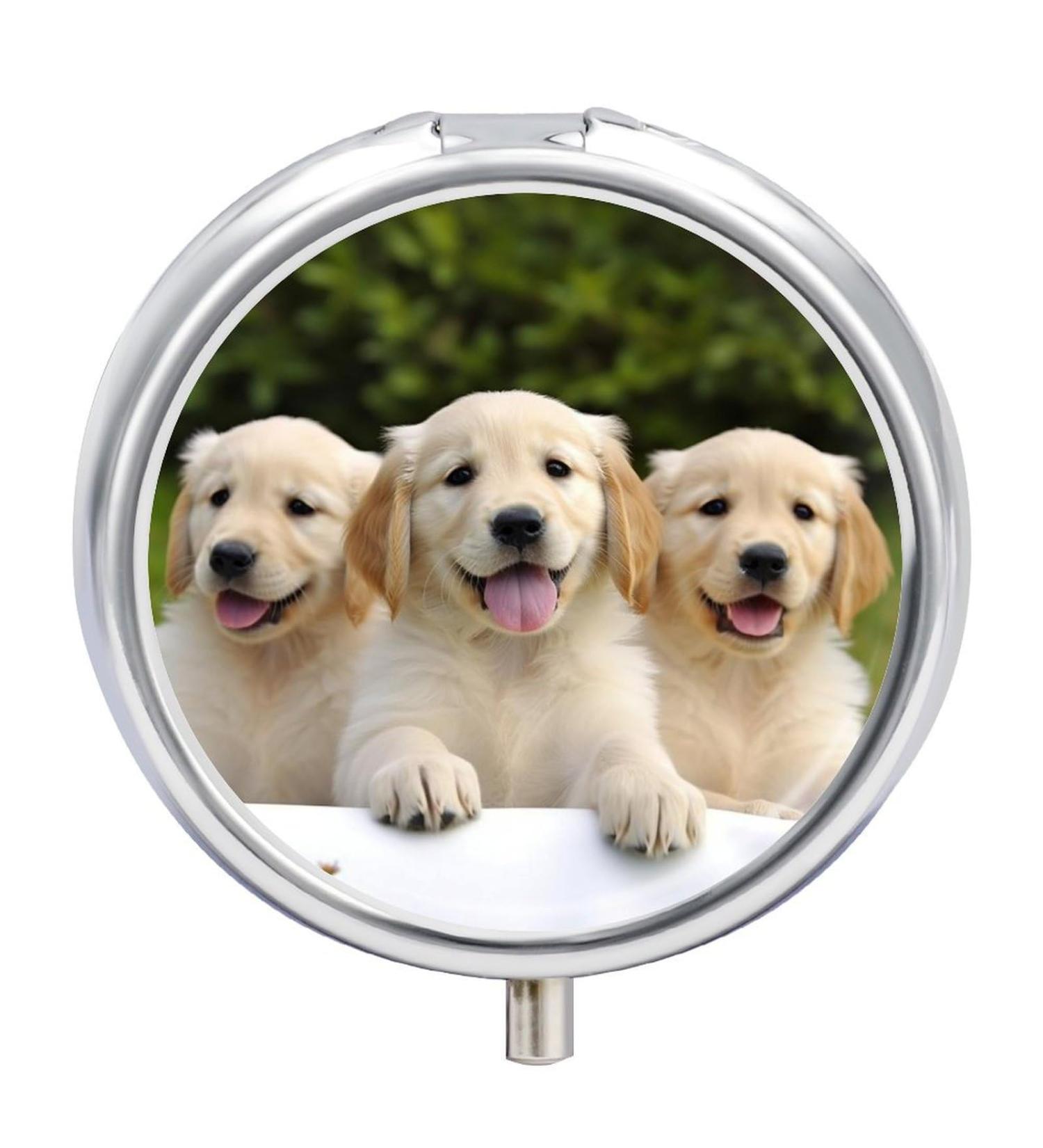 Travel Pill Box with Golden Retriever Puppies | 3 Compartment Portable Pill Organizer for Handbag & Pocket - Buy Online on GoSupps.com
