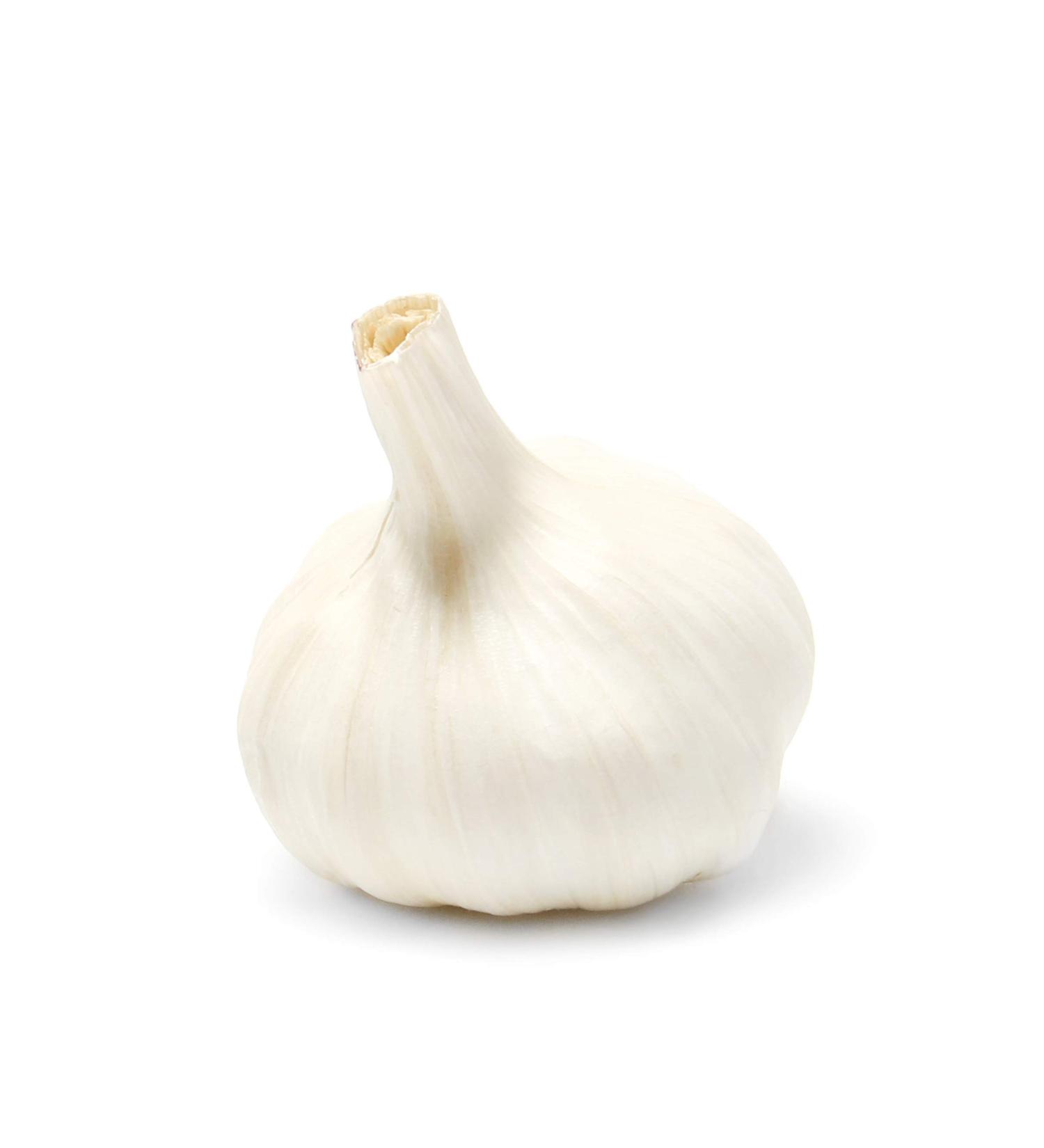 Christopher Ranch, Garlic Elephant, 1 Each
