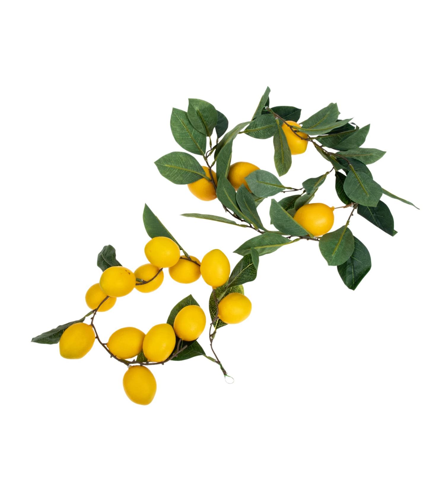 Zerodeko 4 Pcs Simulation Lemon Rattan Garland Decor Plant Flower Embellishments Front Door Wreath Wedding Supplies Artificial Flower Spring Front Door Adornment Summer Plastic Green Leaves Yellowx2pcs 100x13cmx2pcs - Buy Online on GoSupps.com
