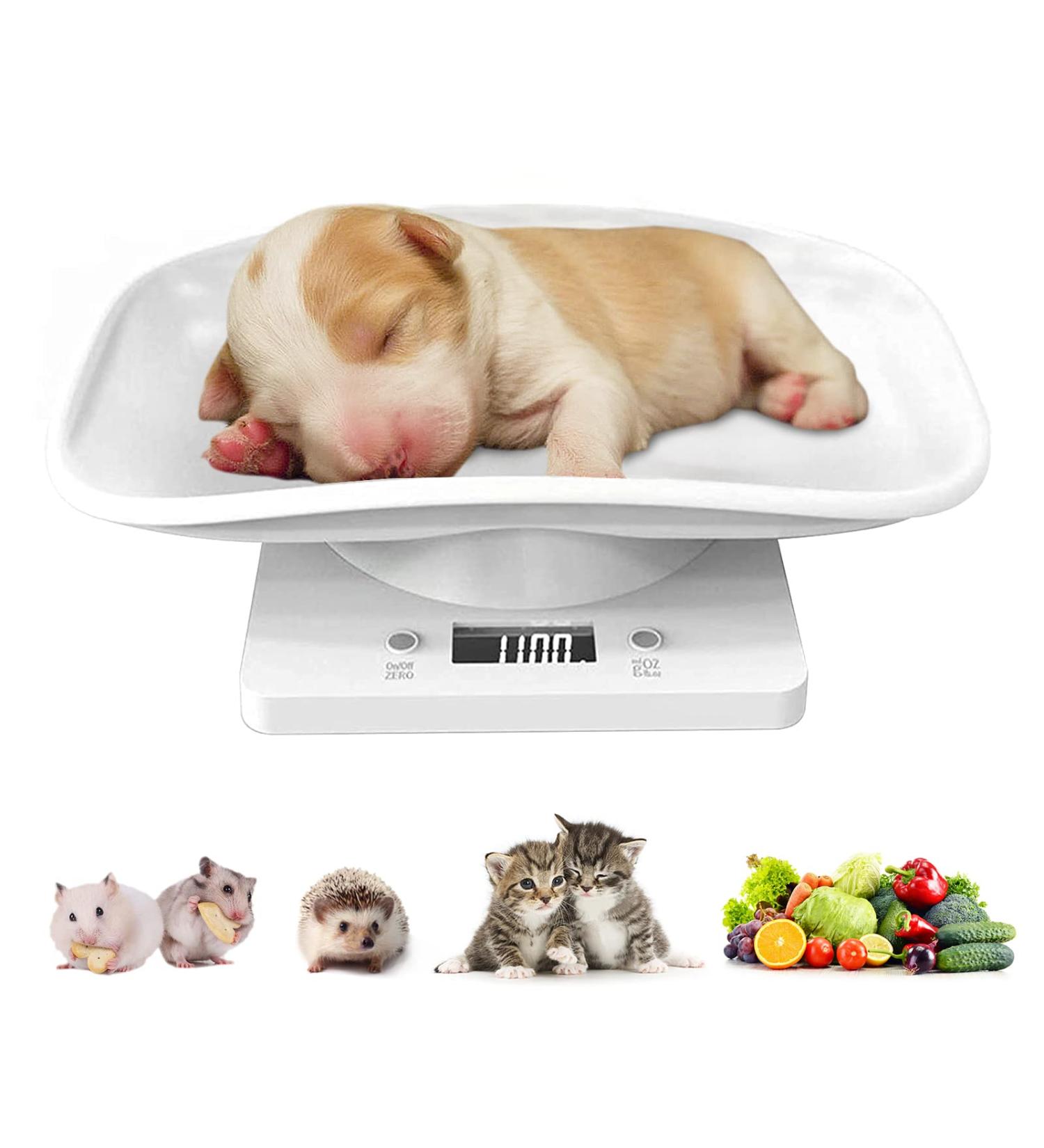 Hotfillere Digital Pet Scale Upgrade Multi-Function Small Animal Scale Max 33 lbs Puppy Weight Scale(kg/oz/lb) Portable Mini LCD Electronic Kitchen Scale for Hamster/Kittens/Small/Cats/Dogs/Food - Buy Online on GoSupps.com
