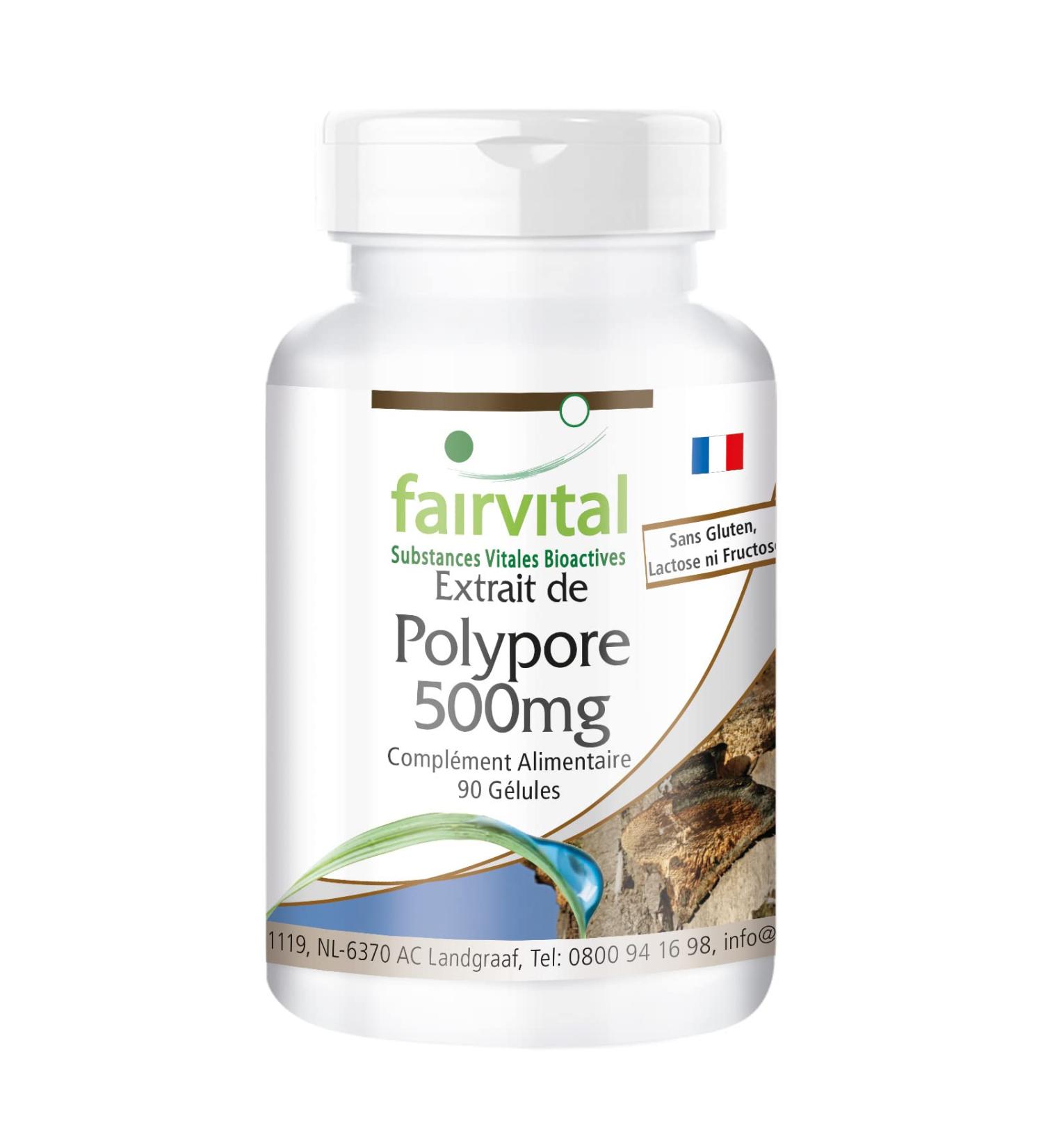Fairvital | Polyporus Extract 500mg VEGAN - Highly Dosed - 90 Capsules - Mushroom Extract Standardized to Polysaccharides 30% - Buy Online on GoSupps.com