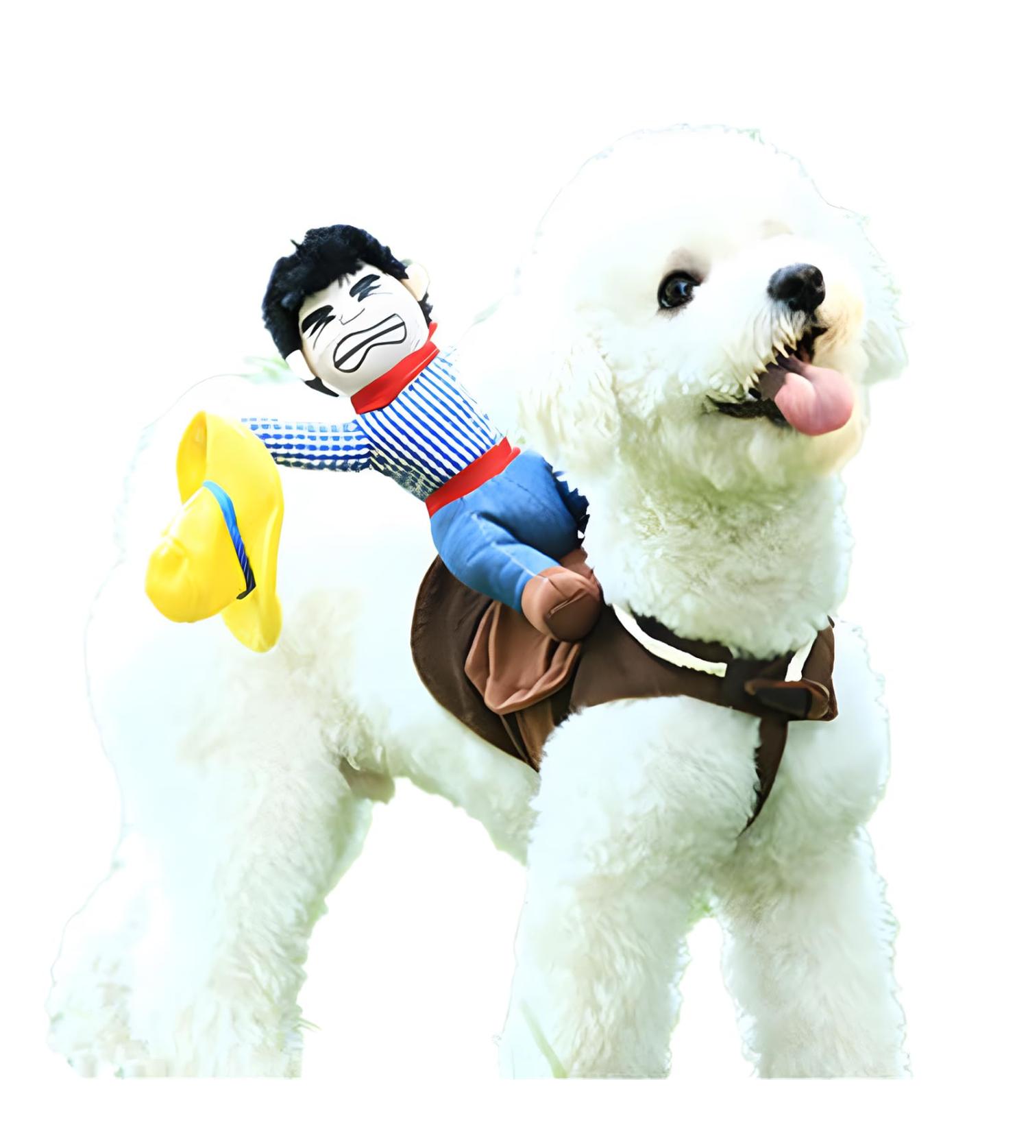 DELIFUR Dog Costumes | Pet Halloween Cowboy Rider Style Outfits for Small Dogs - Buy Online on GoSupps.com