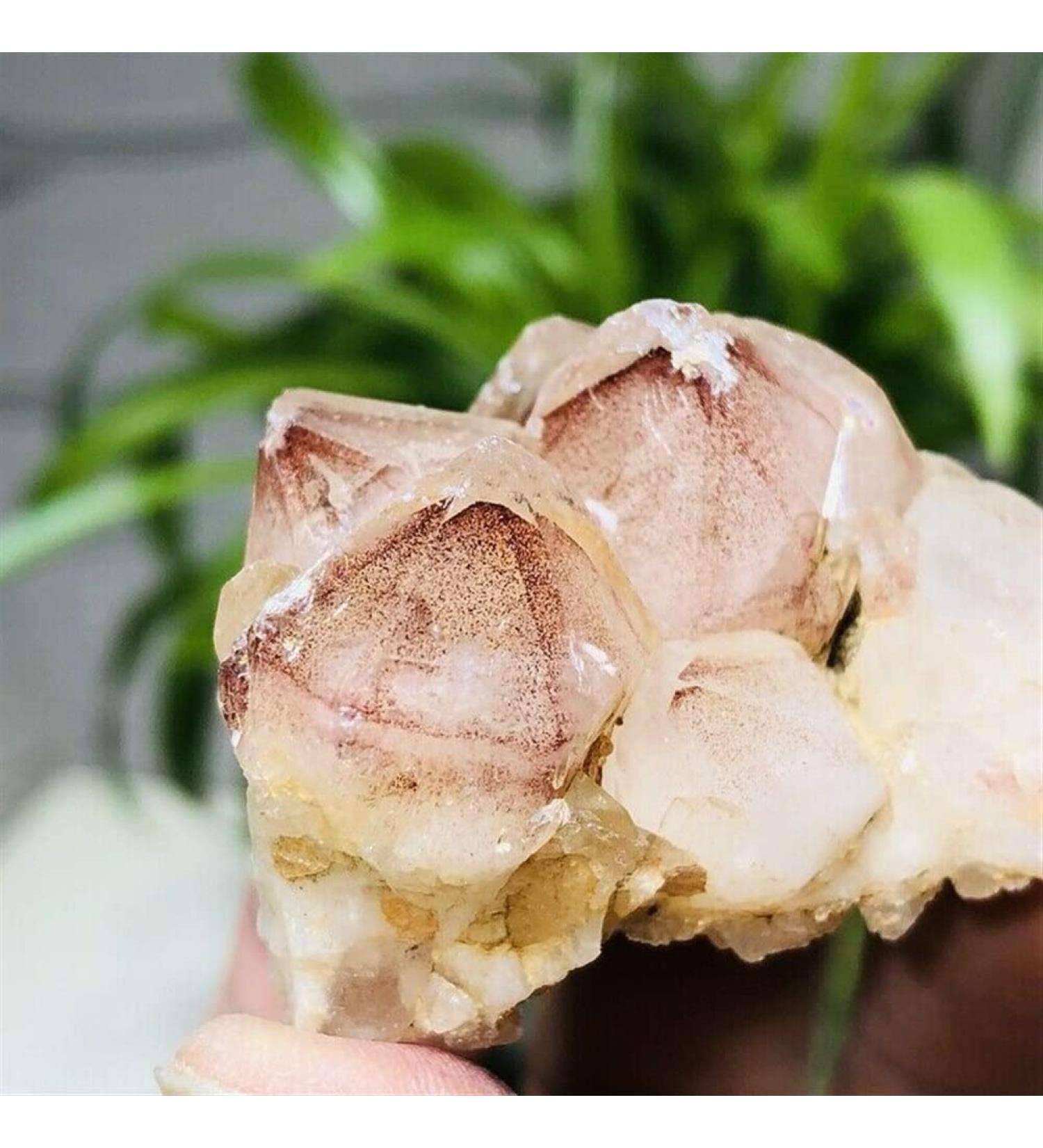 Natural Crystal Rough Stone 50g Natural Red Ghost Pyramid Quartz Crystal Cluster Specimens Balance Gemstone Decoration - Buy Online on GoSupps.com