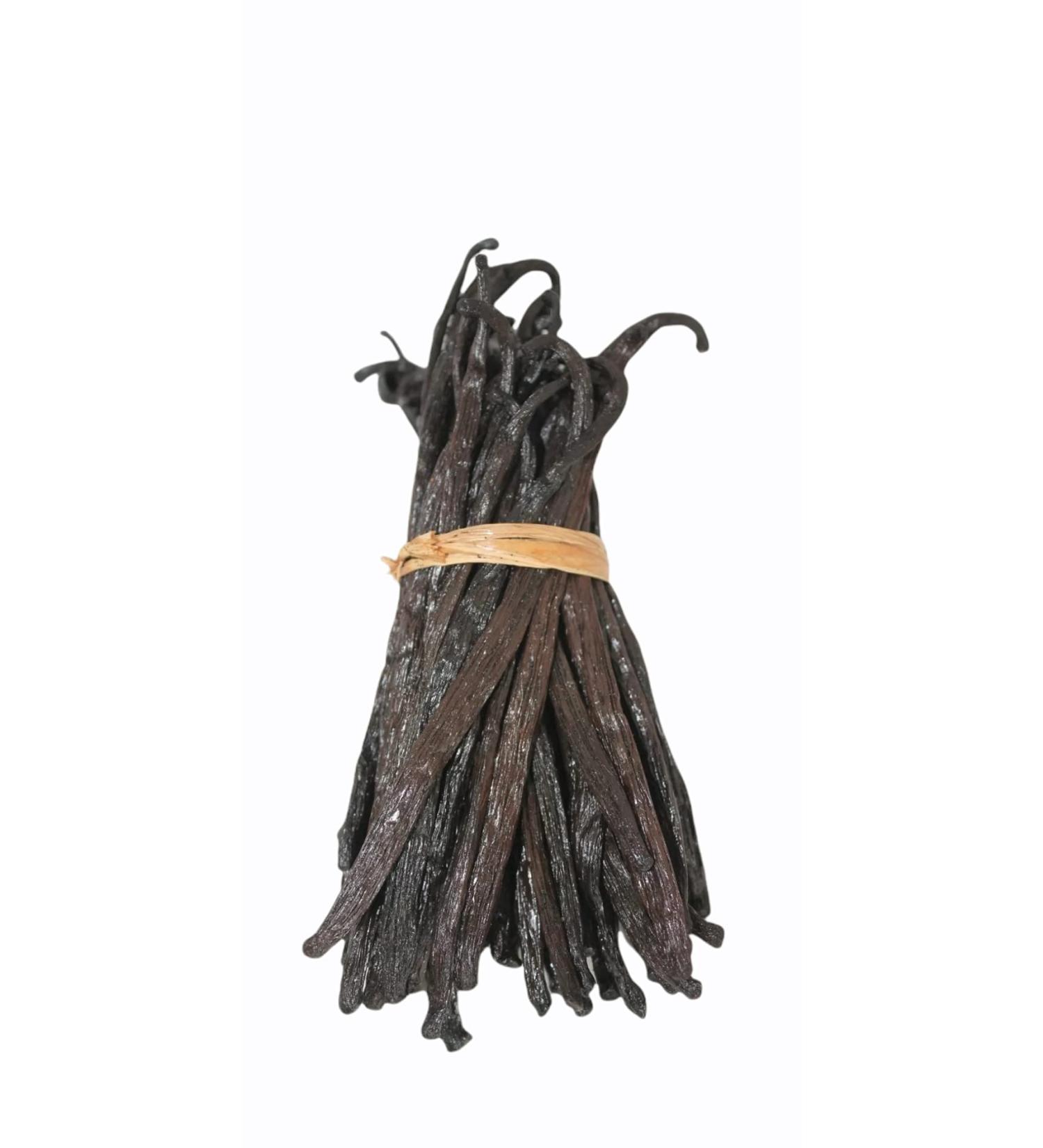 Bourbon Vanilla Pods from Madagascar - 10 Gourmet Vanilla Pods 11 to 13 cm - Buy Online on GoSupps.com