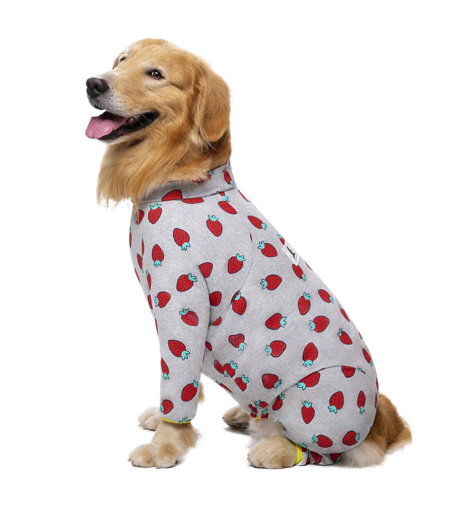 Rehabilitation Suit for Medium & Large Dogs - Breathable Full Cover Pajamas for Post-Op Recovery & Skin Protection | Cone Collar Alternative - Size 32 Strawberry - Buy Online on GoSupps.com