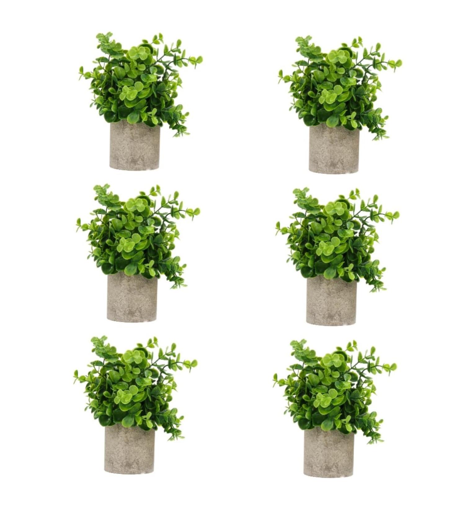 Zerodeko 6 Pcs Simulated Potted Plant Faux Greenery Fake Plant Decor Green Decor Mini Plants Mini Succulent Plants Upholstery Trim Simulation Green Plant Plastic Eucalyptus Green Plants As Shownx6pcs 22x8cmx6pcs - Buy Online on GoSupps.com