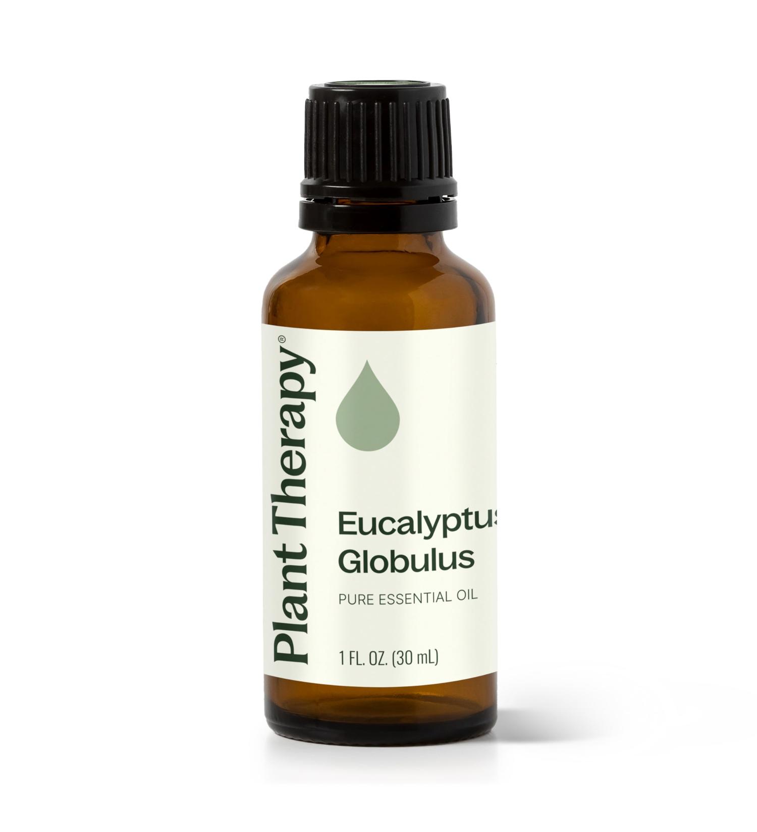 Plant Therapy Eucalyptus Globulus Essential Oil 30 mL (1 oz) for Diffuser Skin Hair Aromatherapy DIYs and Clear Breathing 100% Pure Undiluted Therapeutic Grade - Buy Online on GoSupps.com