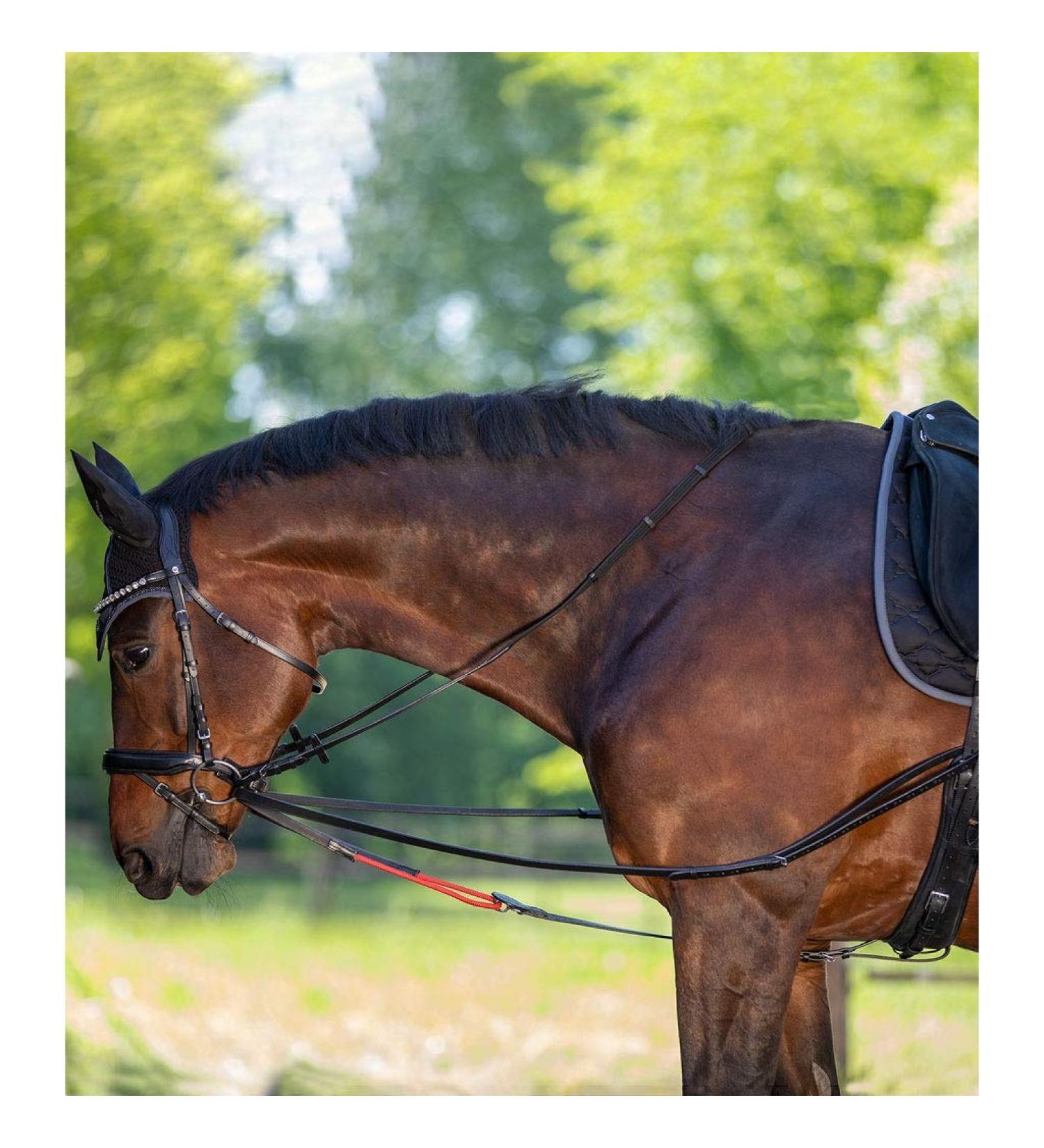 Waldhausen W-Trainrein leather triangle reins: rice agent lunging accessories flexible binder for horse training riding aid and horse gymnastics WB black warm blood full black