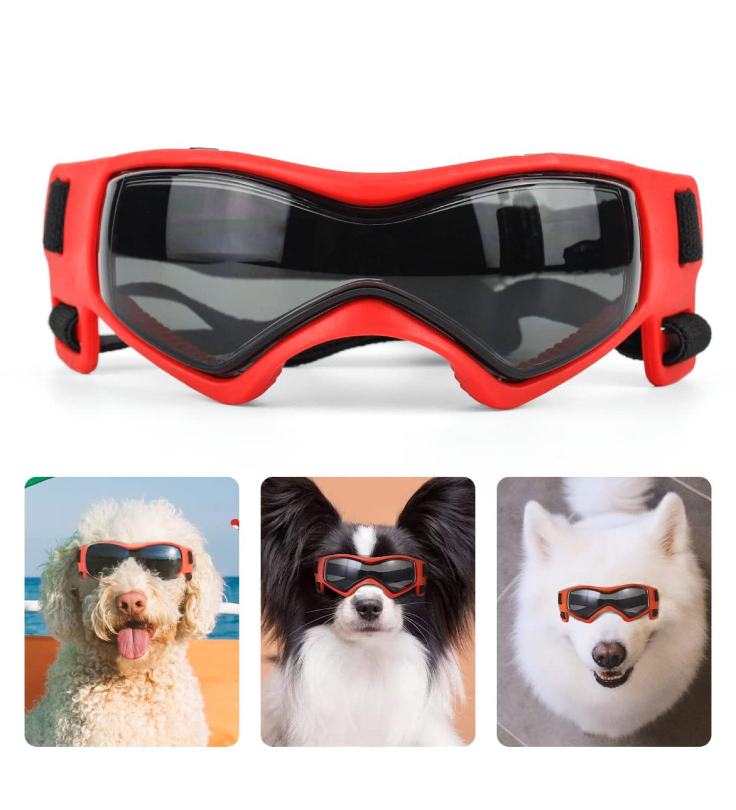 Pedomus Dog Sunglasses - Adjustable UV Protection for Small Dogs | Waterproof Red with Windshield Straps - Buy Online on GoSupps.com