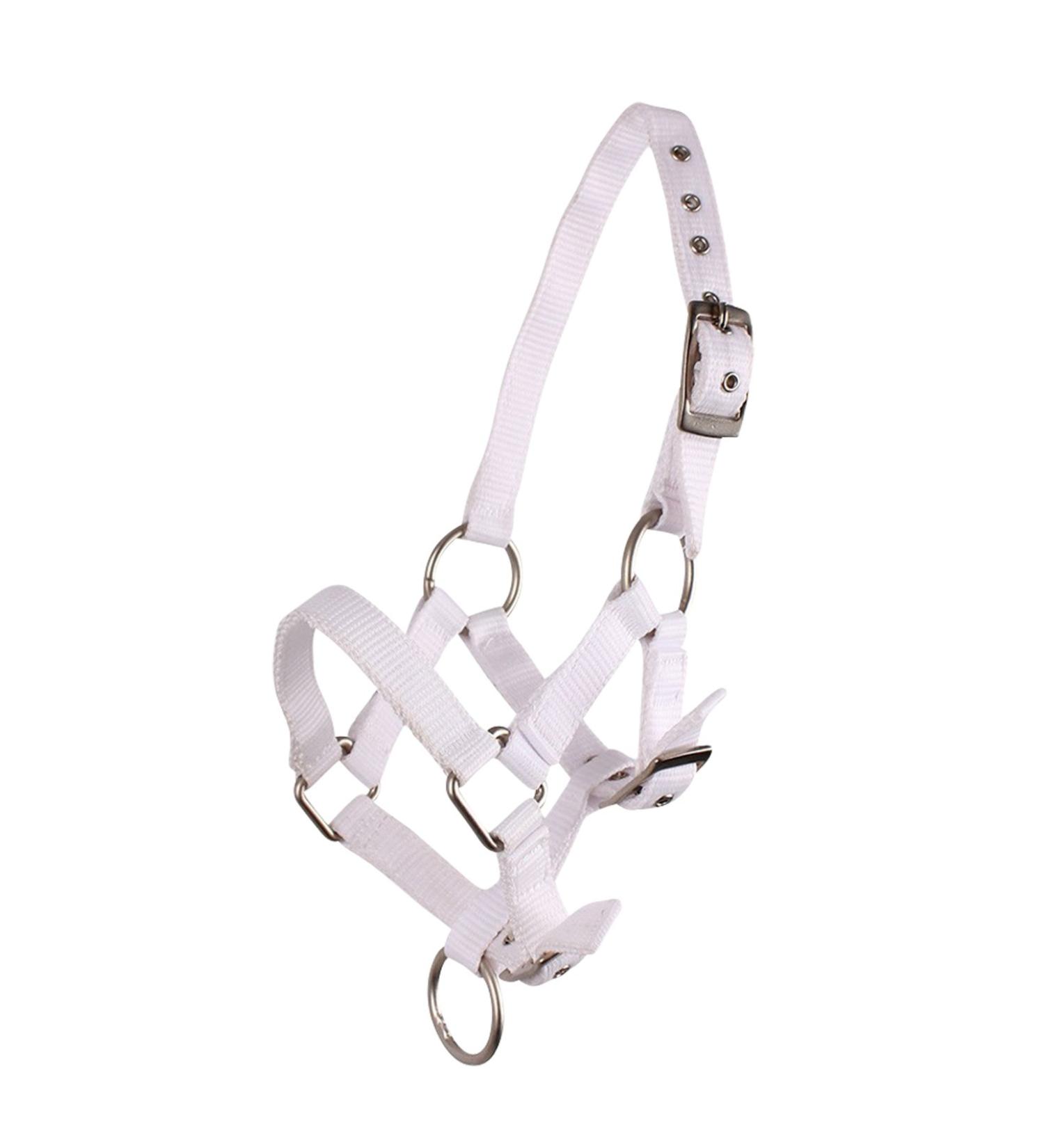 QHP foal halter foal nylon halter 4 foal sizes 6 colours (pony foal white) pony foal white